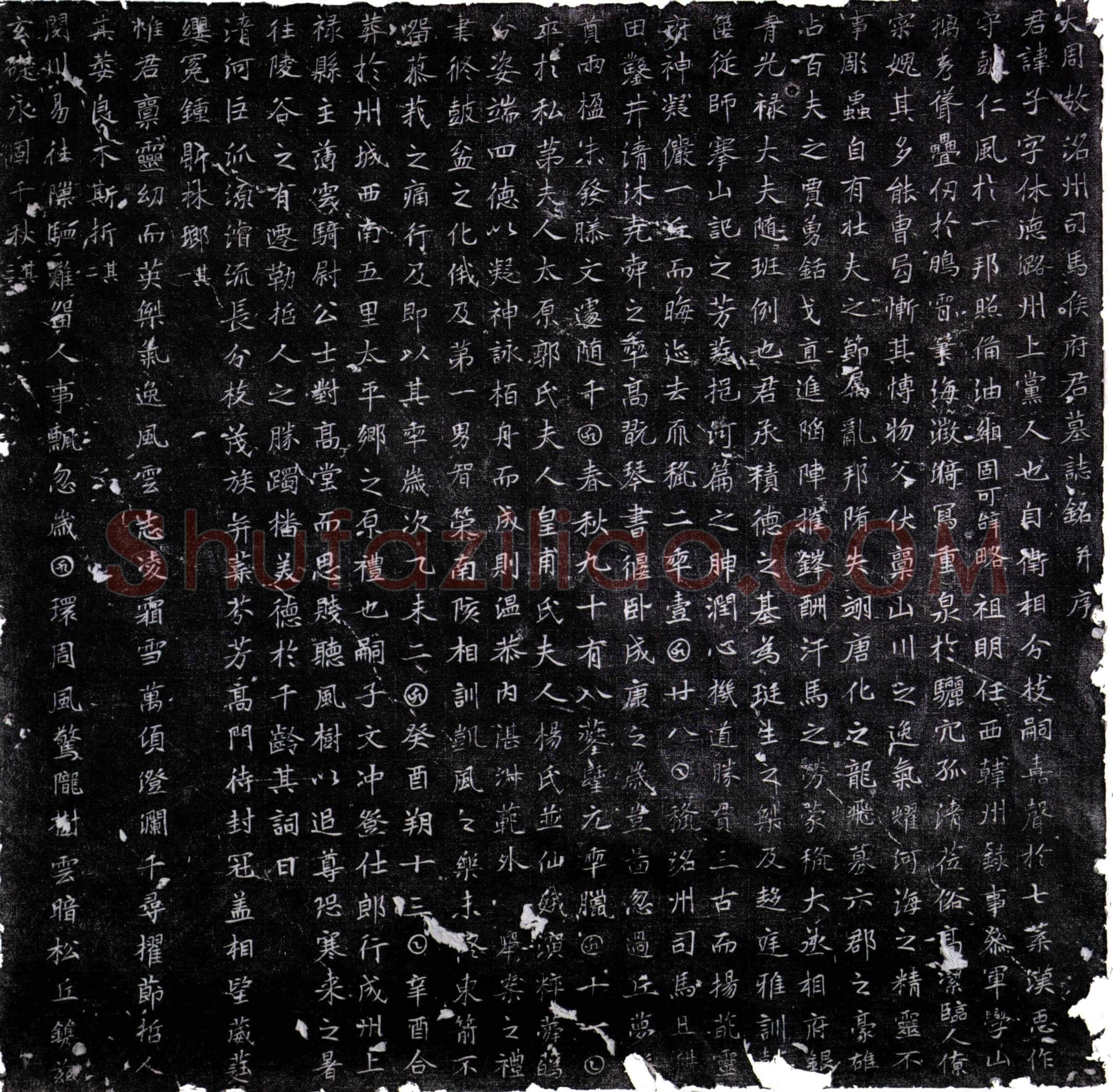 唐 侯子 墓誌