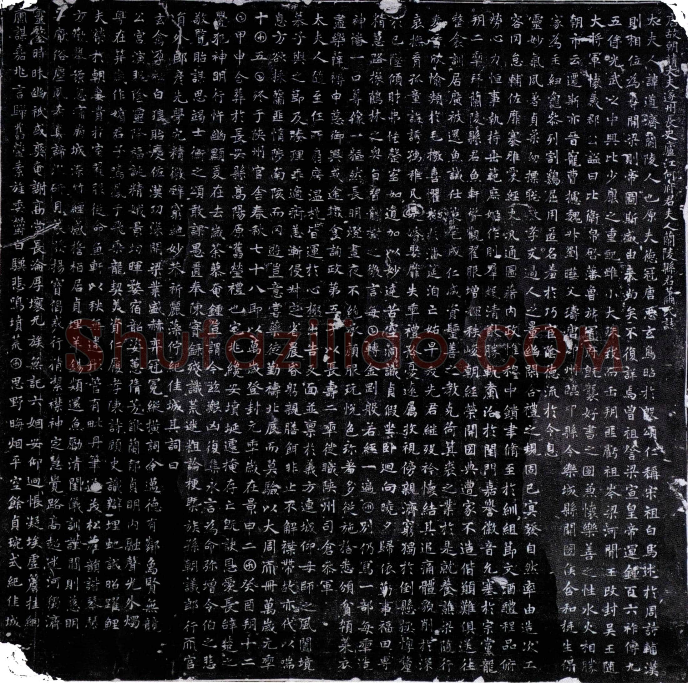 唐萧道济墓誌(唐故朝请大夫遂州长史庐江何府君夫人兰陵县君萧氏誌)