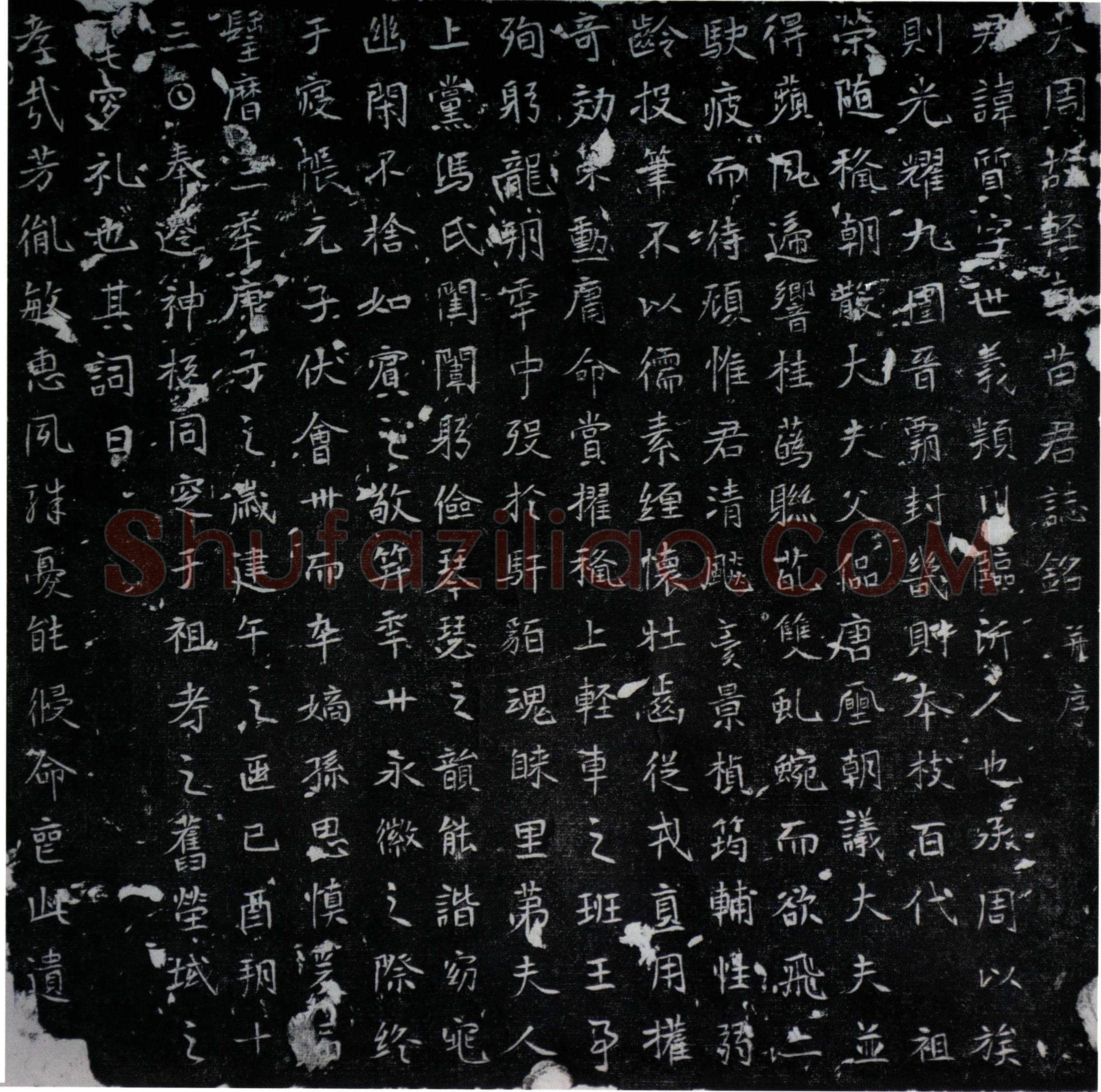 唐 苗质 墓誌