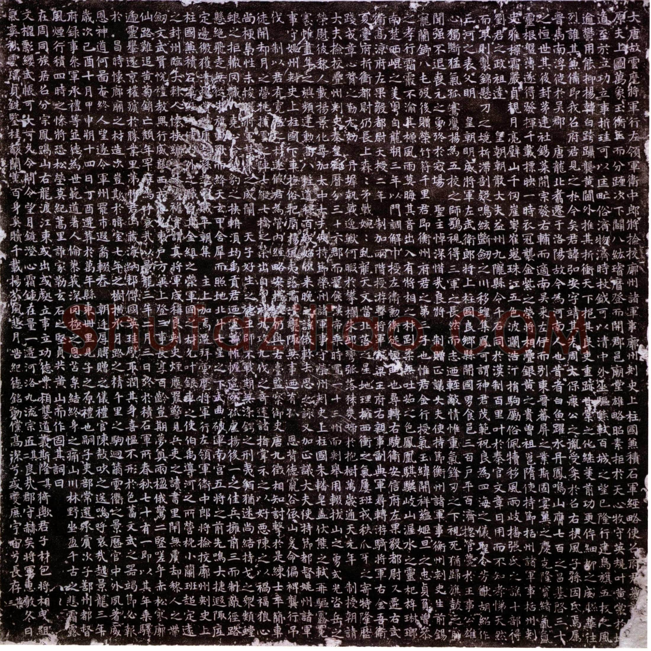 唐 召弘安 墓誌