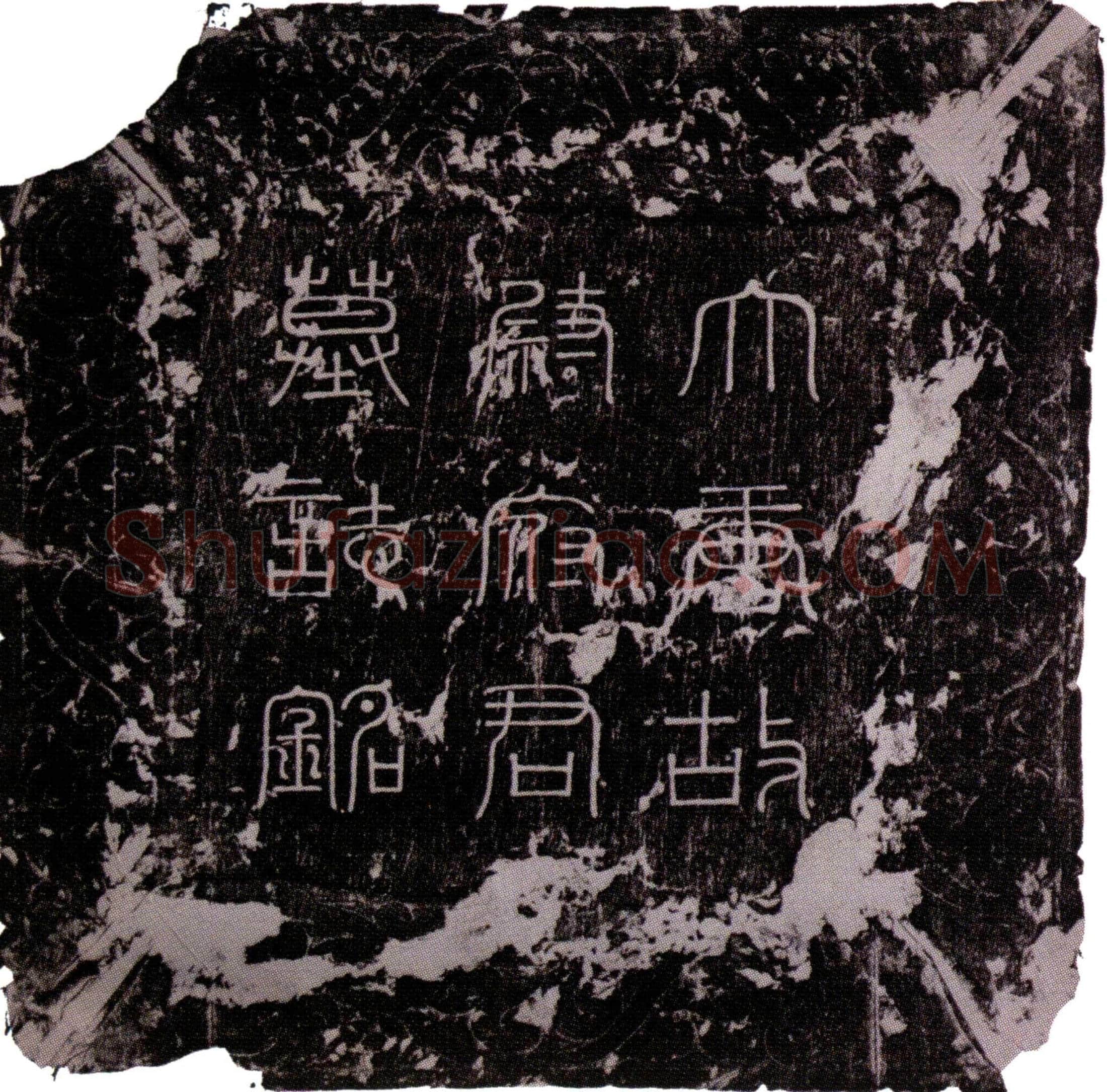 唐 尉元宾 墓誌