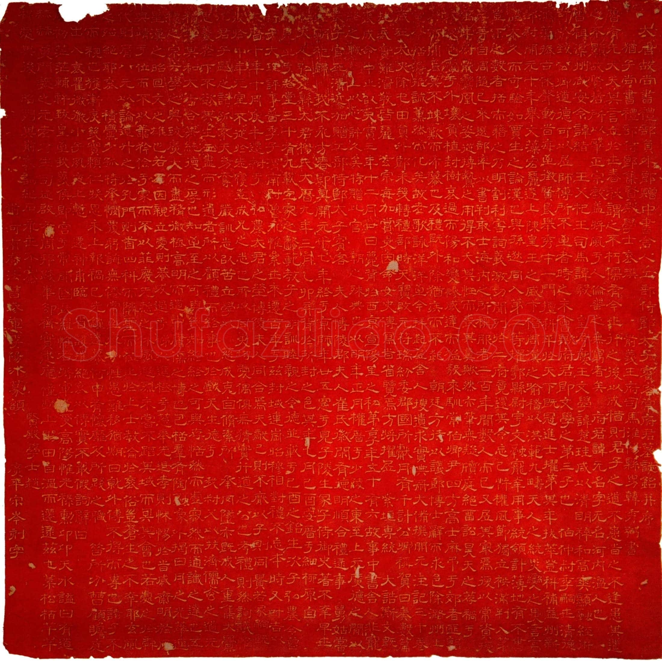 唐 常无名 墓誌