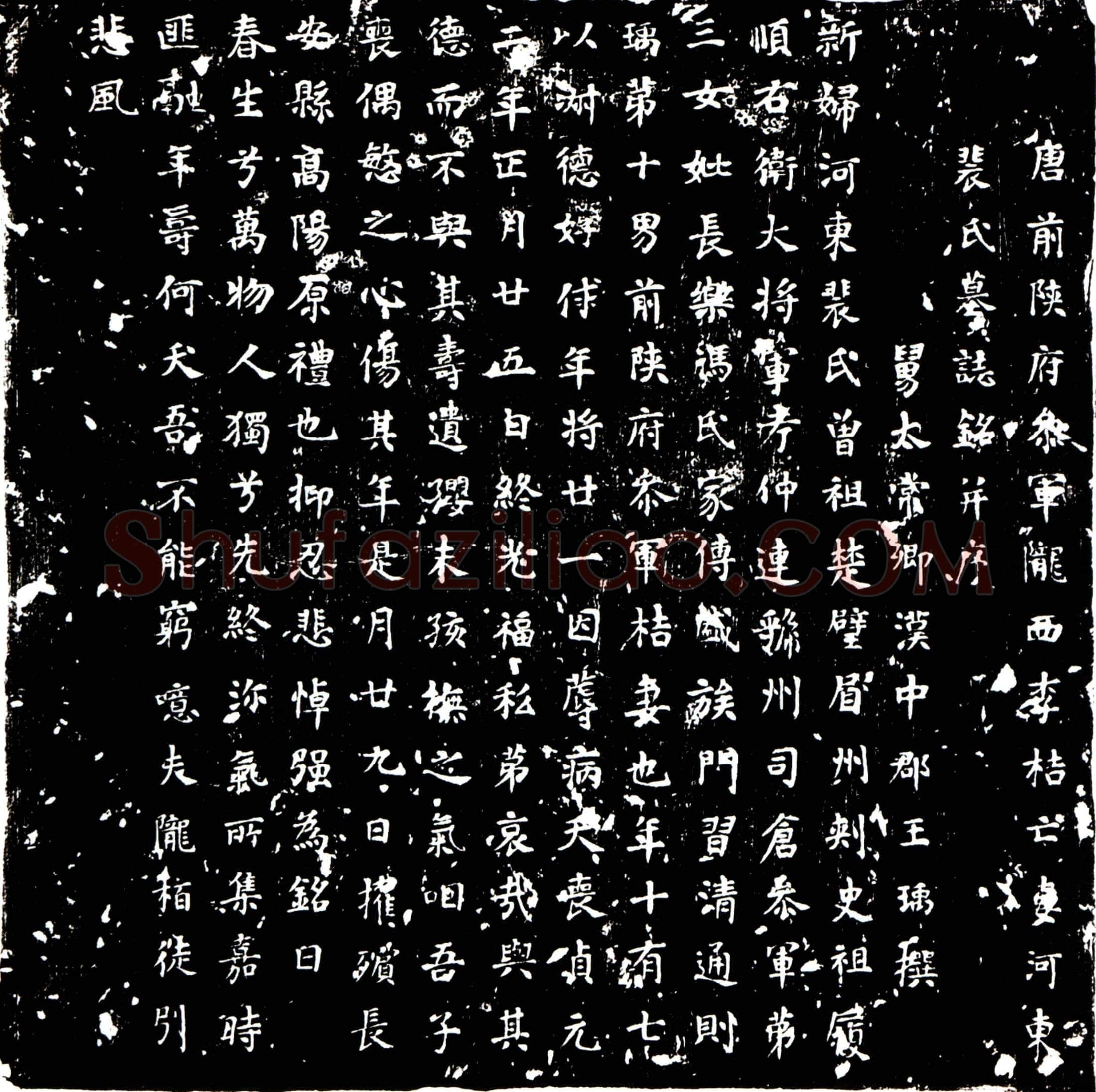 唐李桔妻裴氏墓誌(唐前陕府参军陇西李桔亡妻河东裴氏墓誌铭并序)