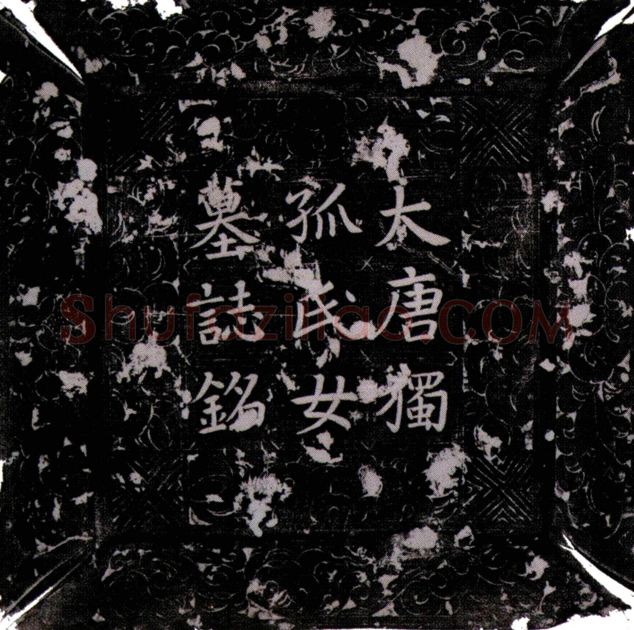 唐 独孤保生 墓誌