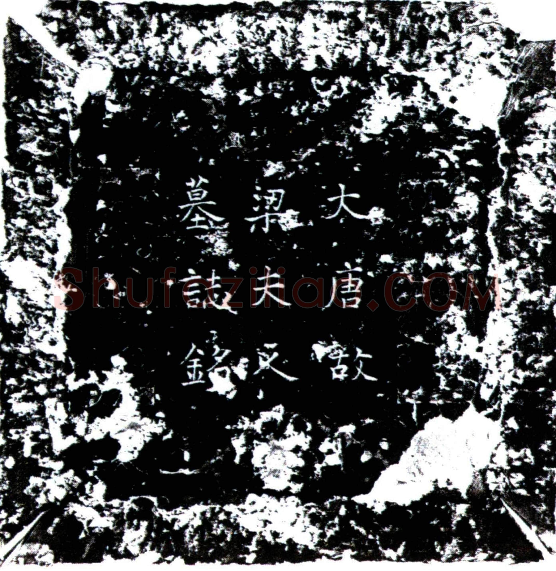 唐梁天真墓誌(唐岳州刺史韦公故夫人梁氏墓誌铭并序)