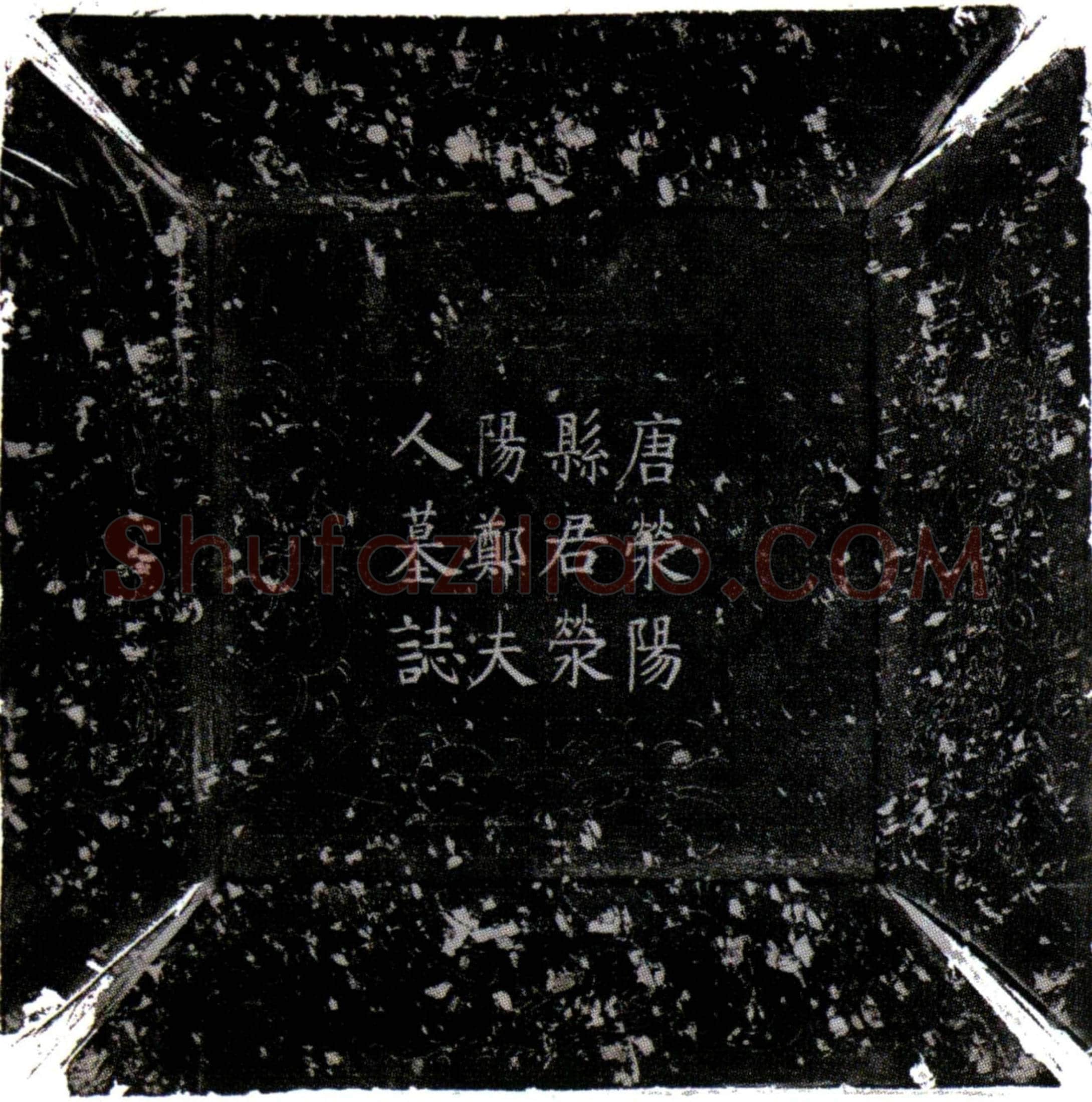 唐 郑瑶 墓誌