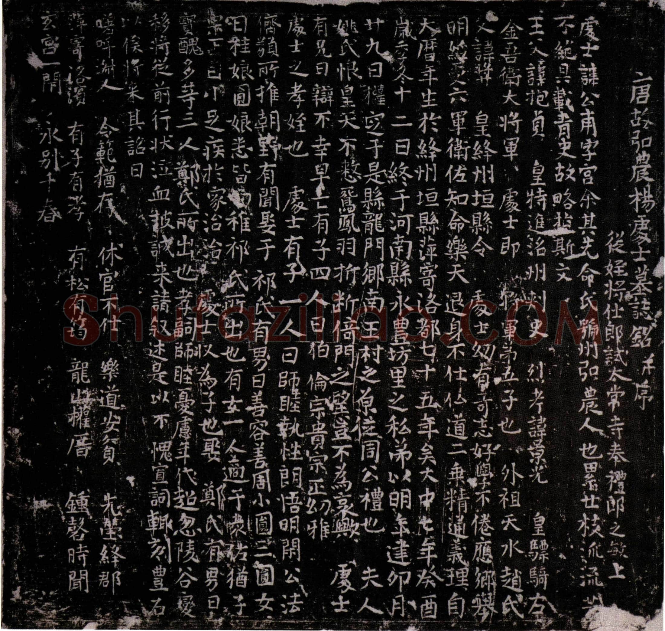 唐 杨公甫 墓誌