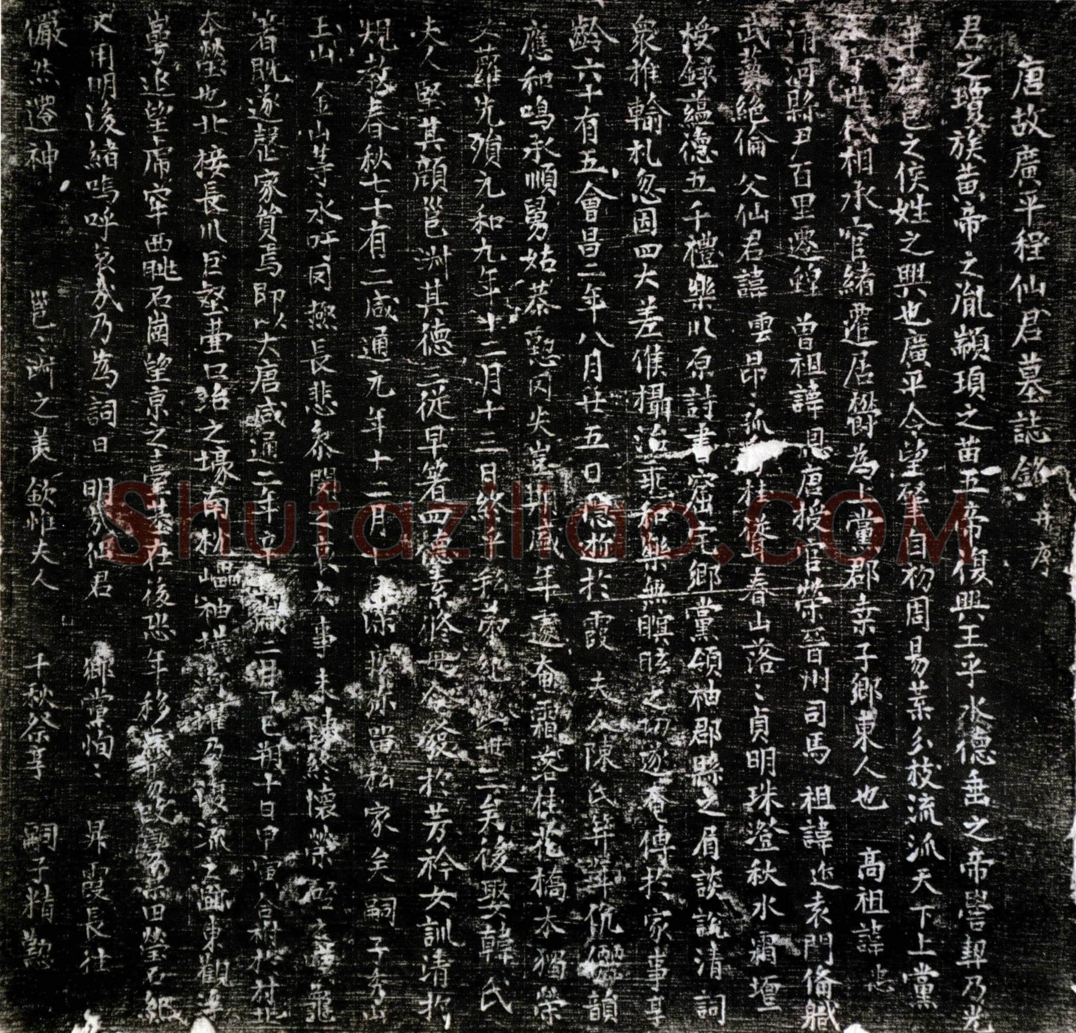 唐 程云 墓誌