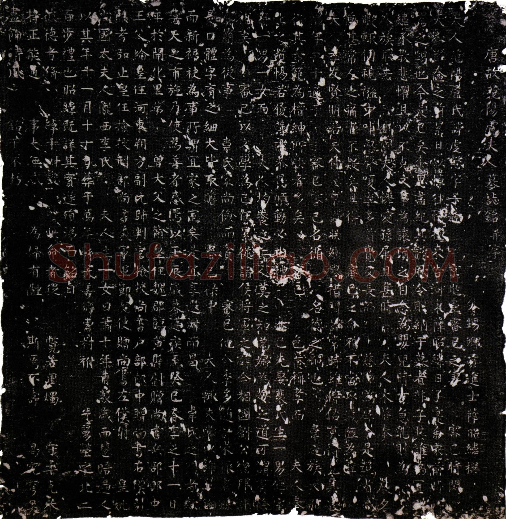 唐卢虔懿墓誌(唐故范阳卢夫人墓誌铭并序)