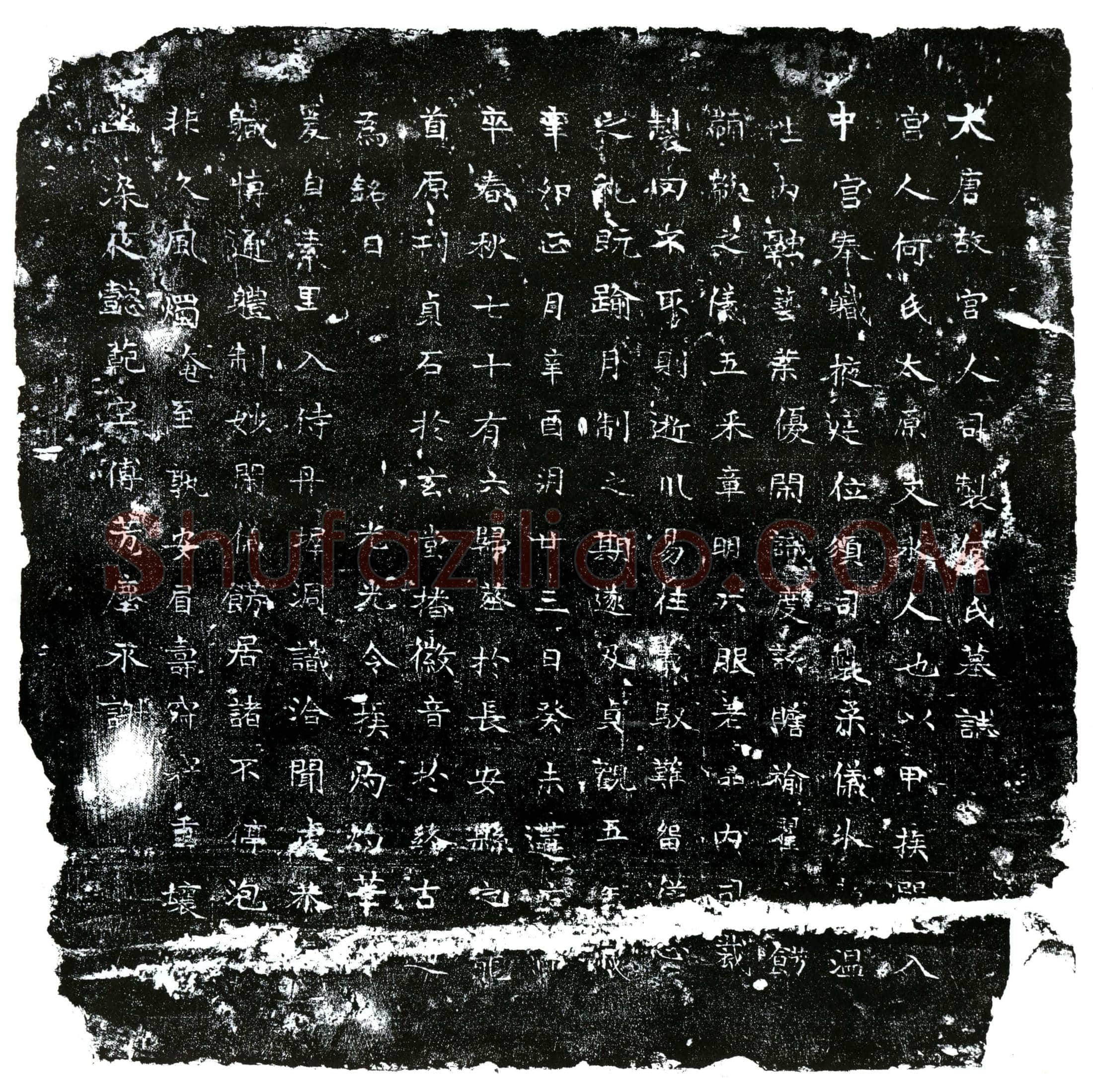 唐宫人何氏墓誌(大唐故宫人司製何氏墓誌)