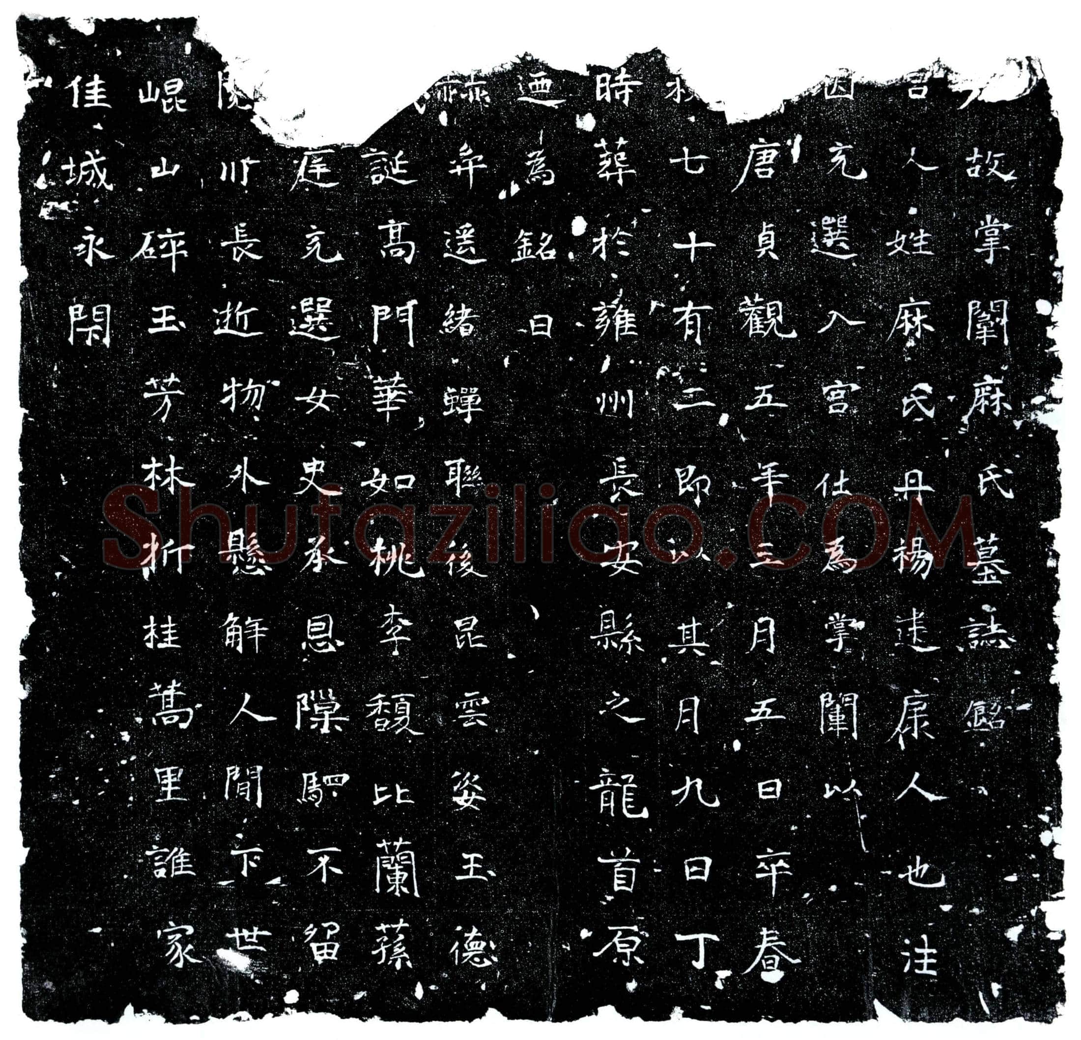 唐 宫人麻氏 墓誌
