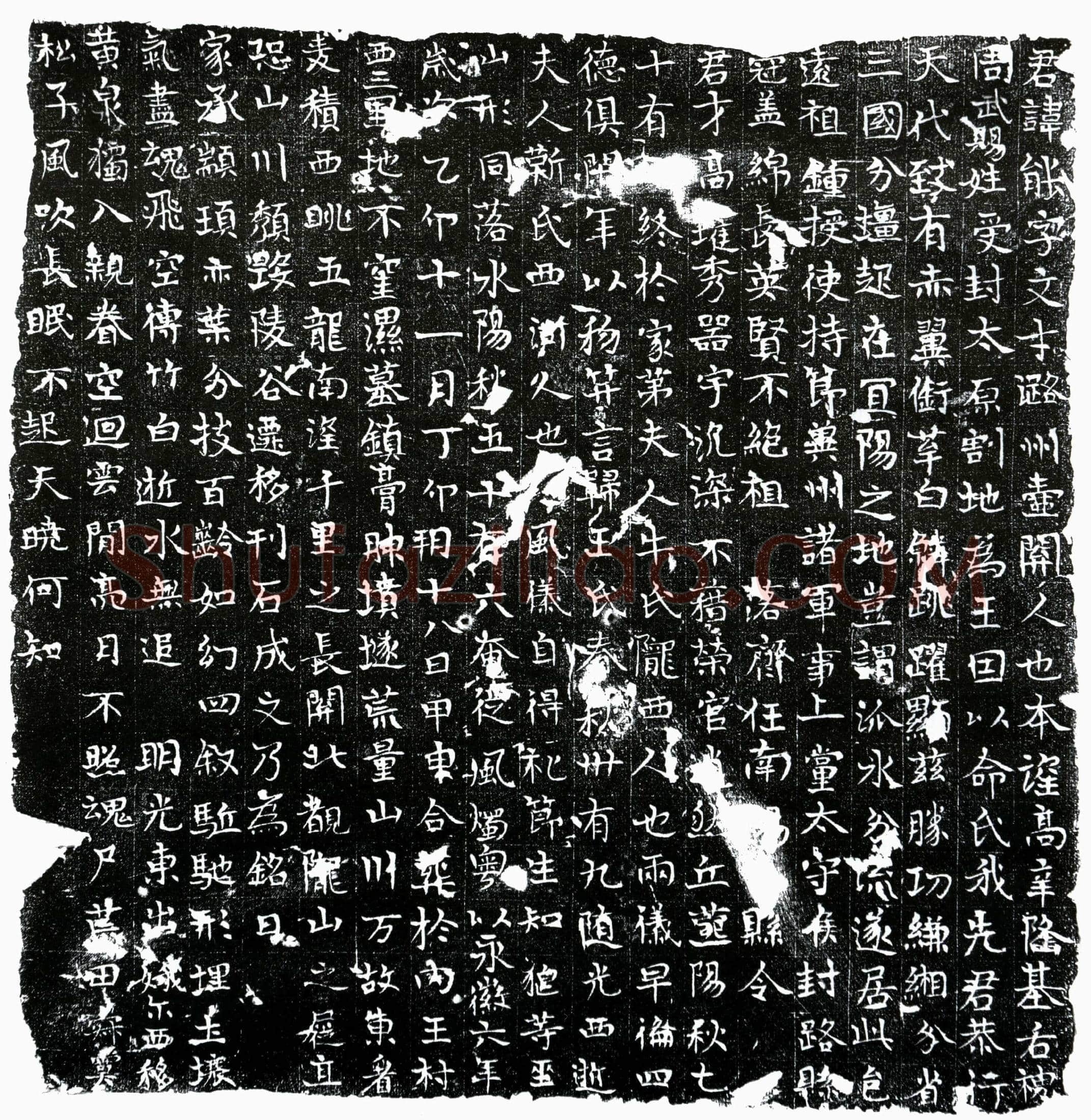 唐 王能 墓誌