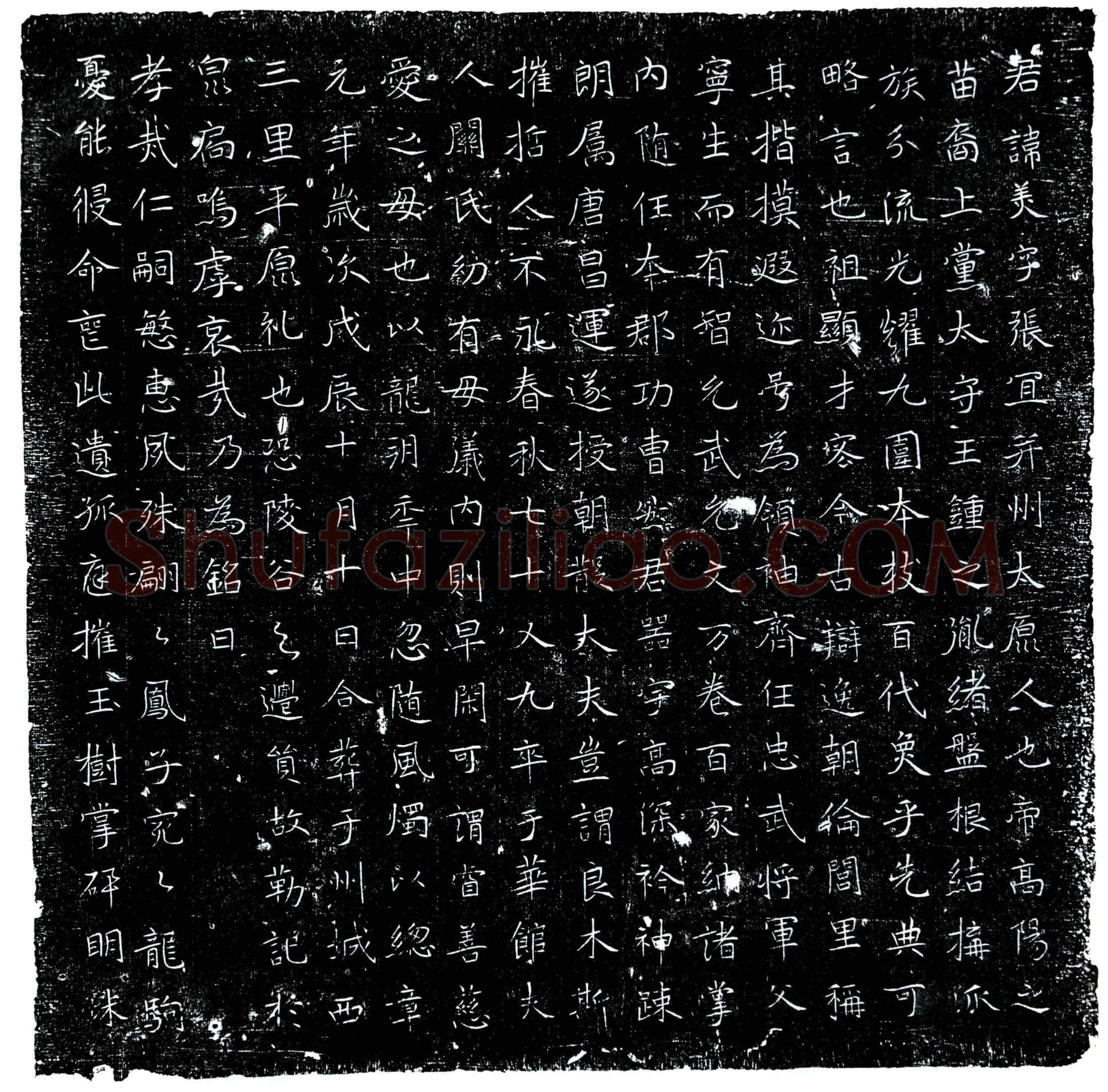 唐 王美 墓誌