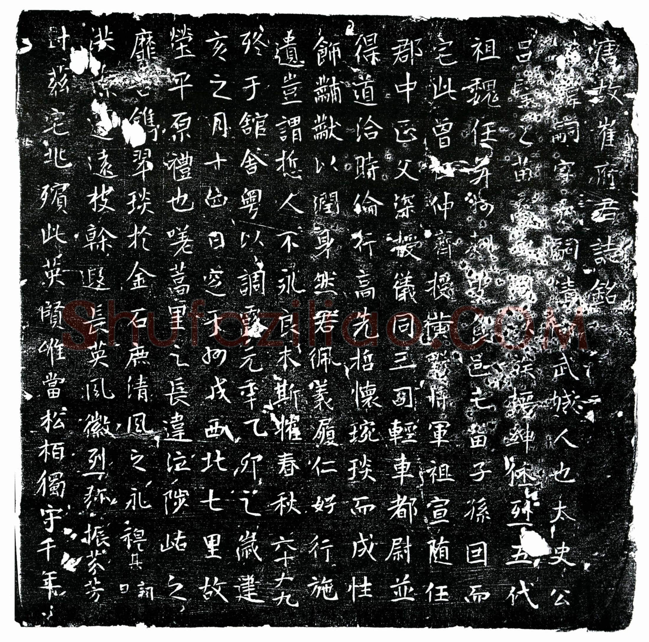 唐 崔嗣 墓誌