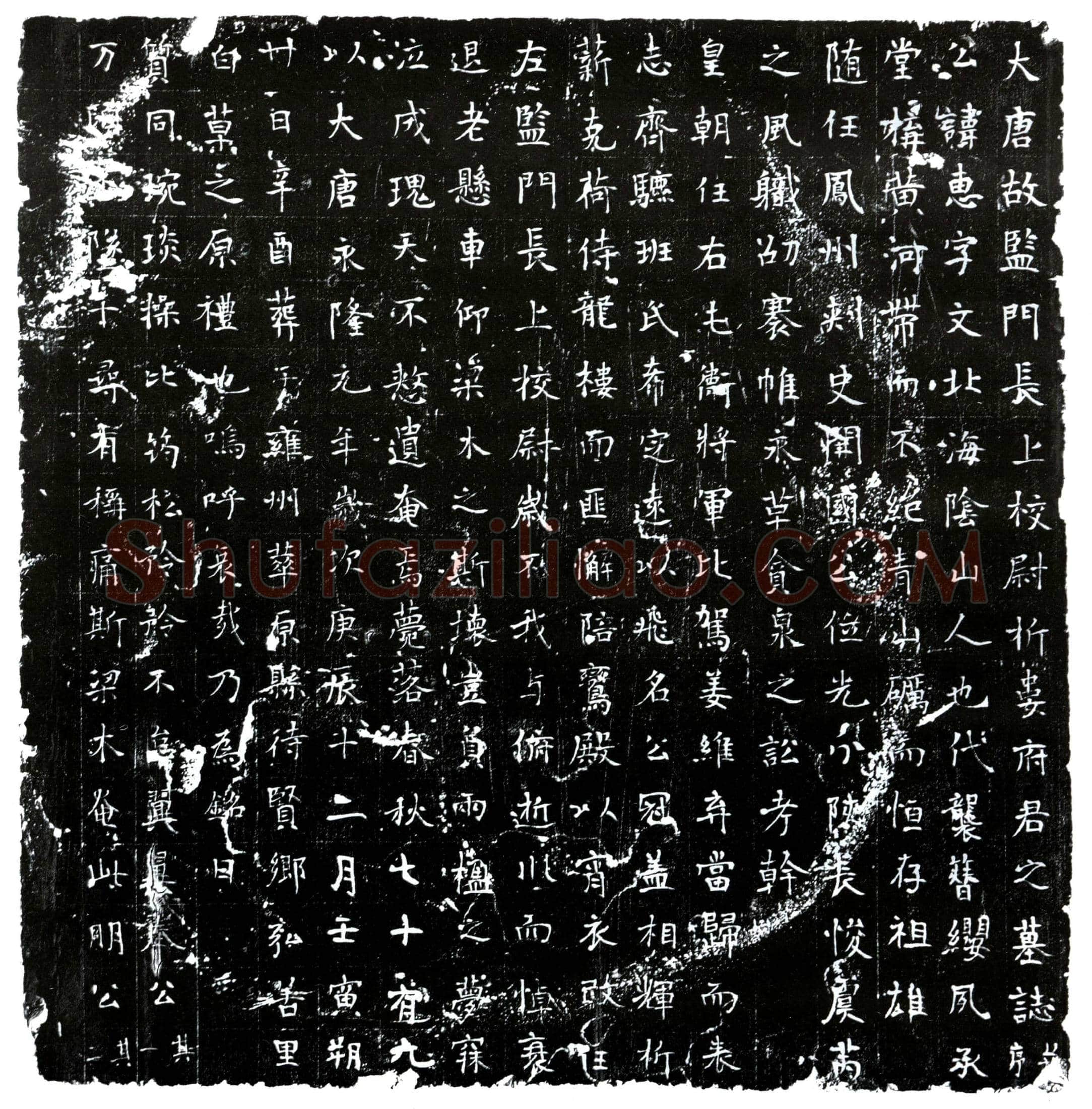 唐 折娄惠 墓誌