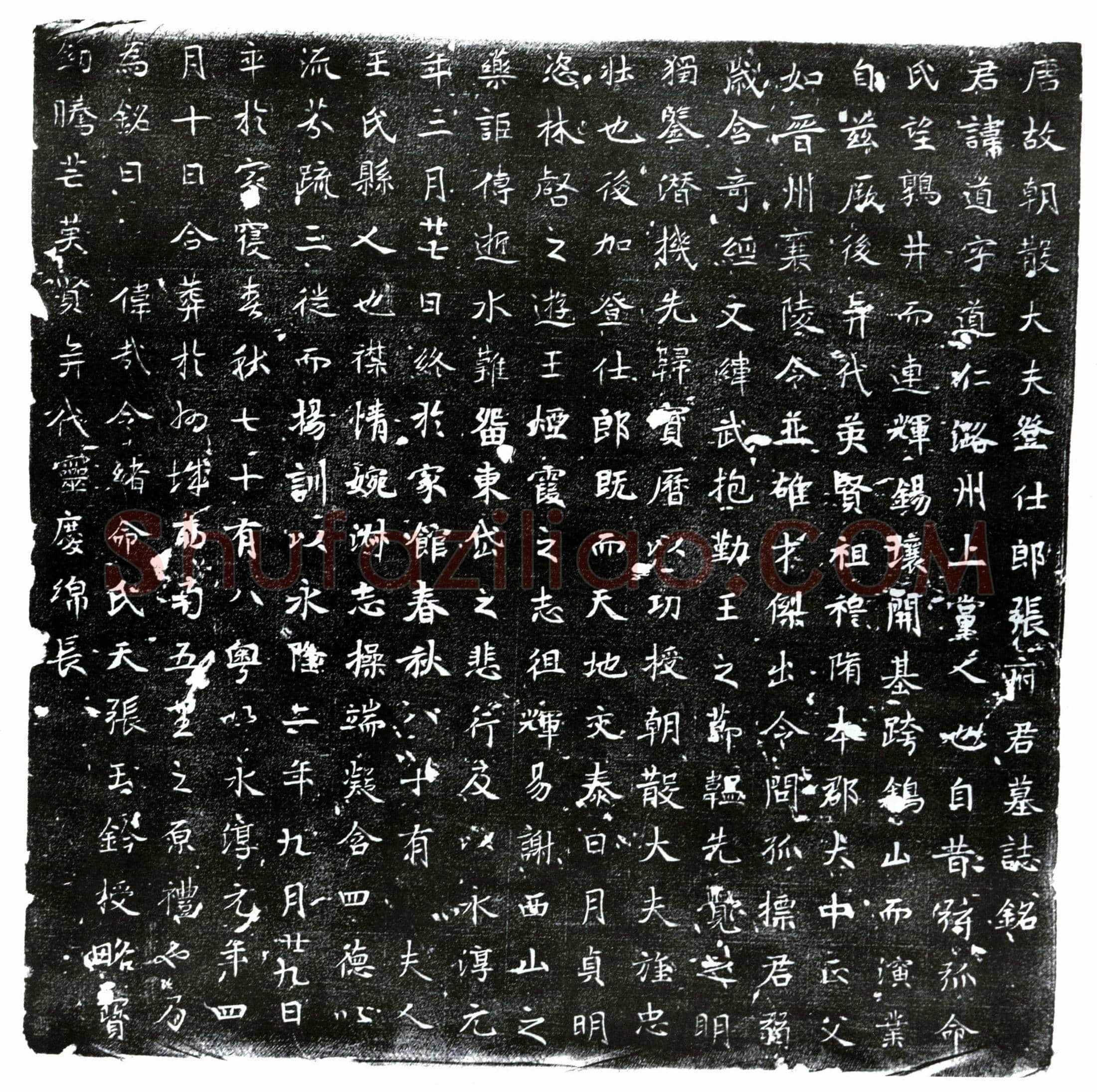 唐 张道 张道妻王氏 墓誌