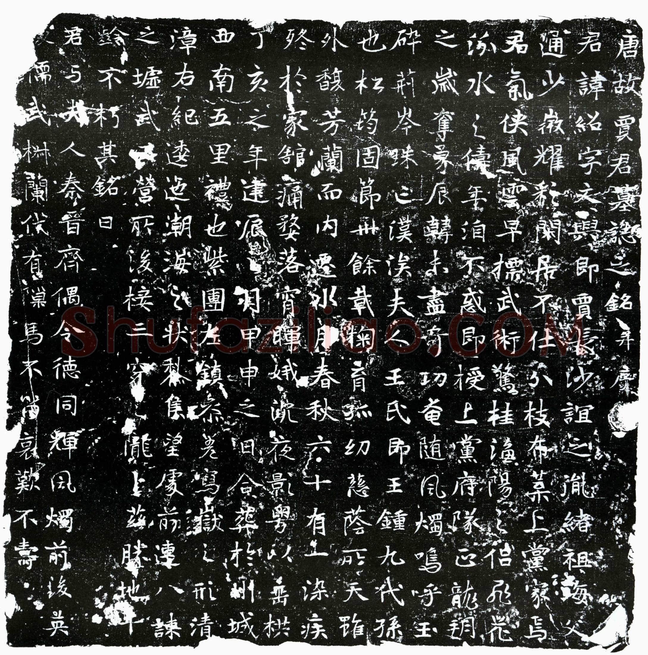 唐 贾绍 墓誌