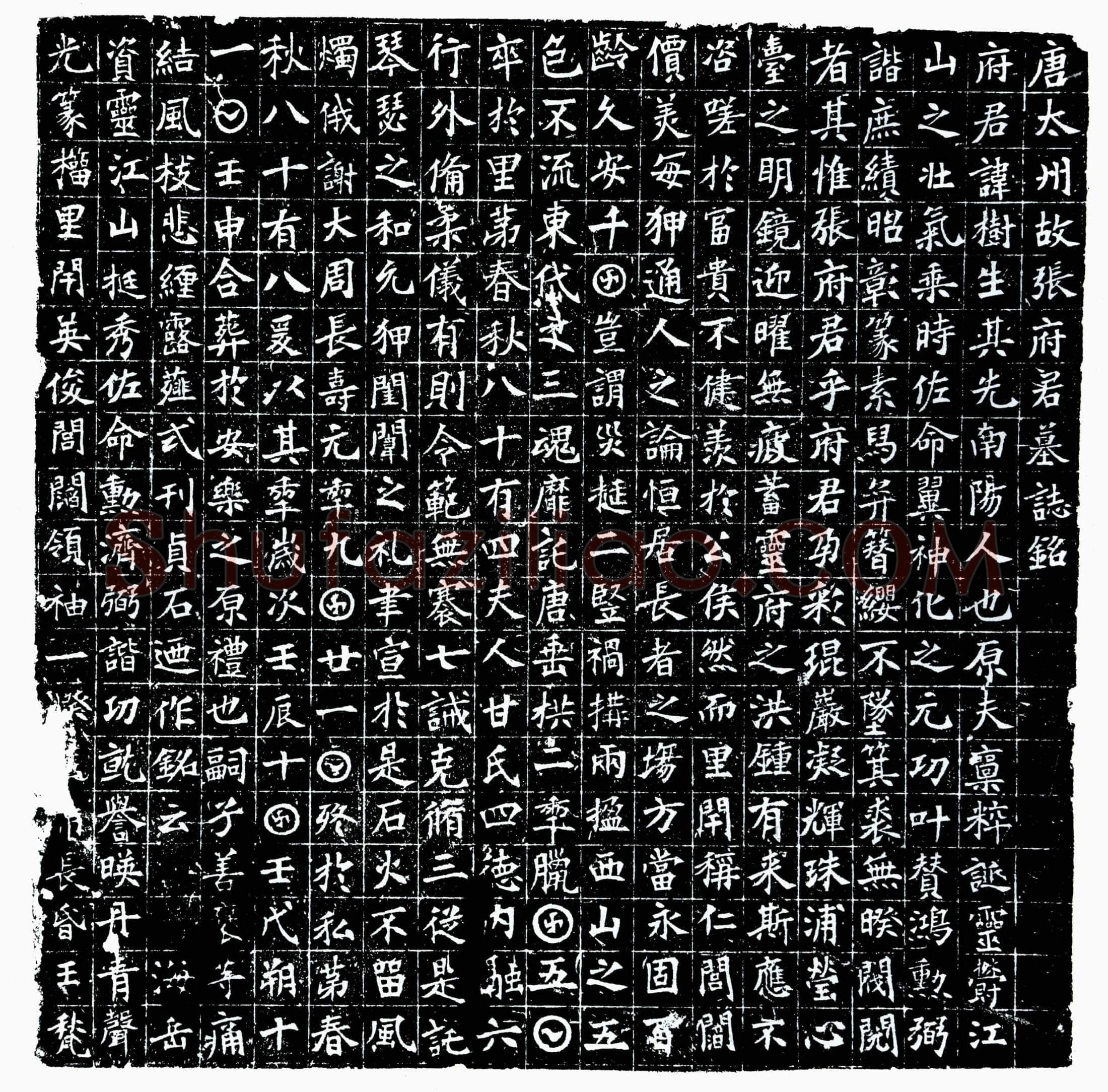 唐 张树生 墓誌