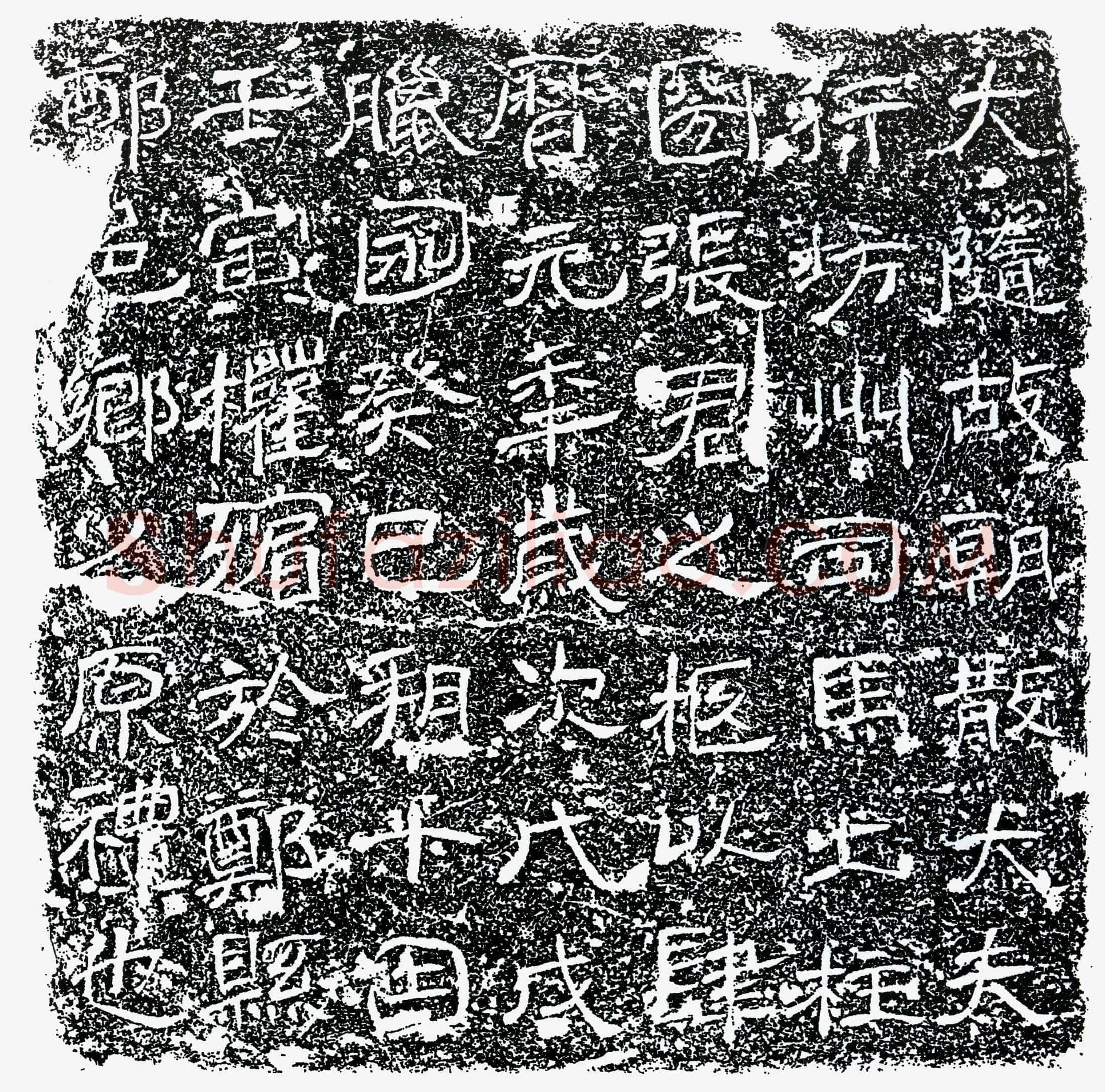 唐 张君 墓誌