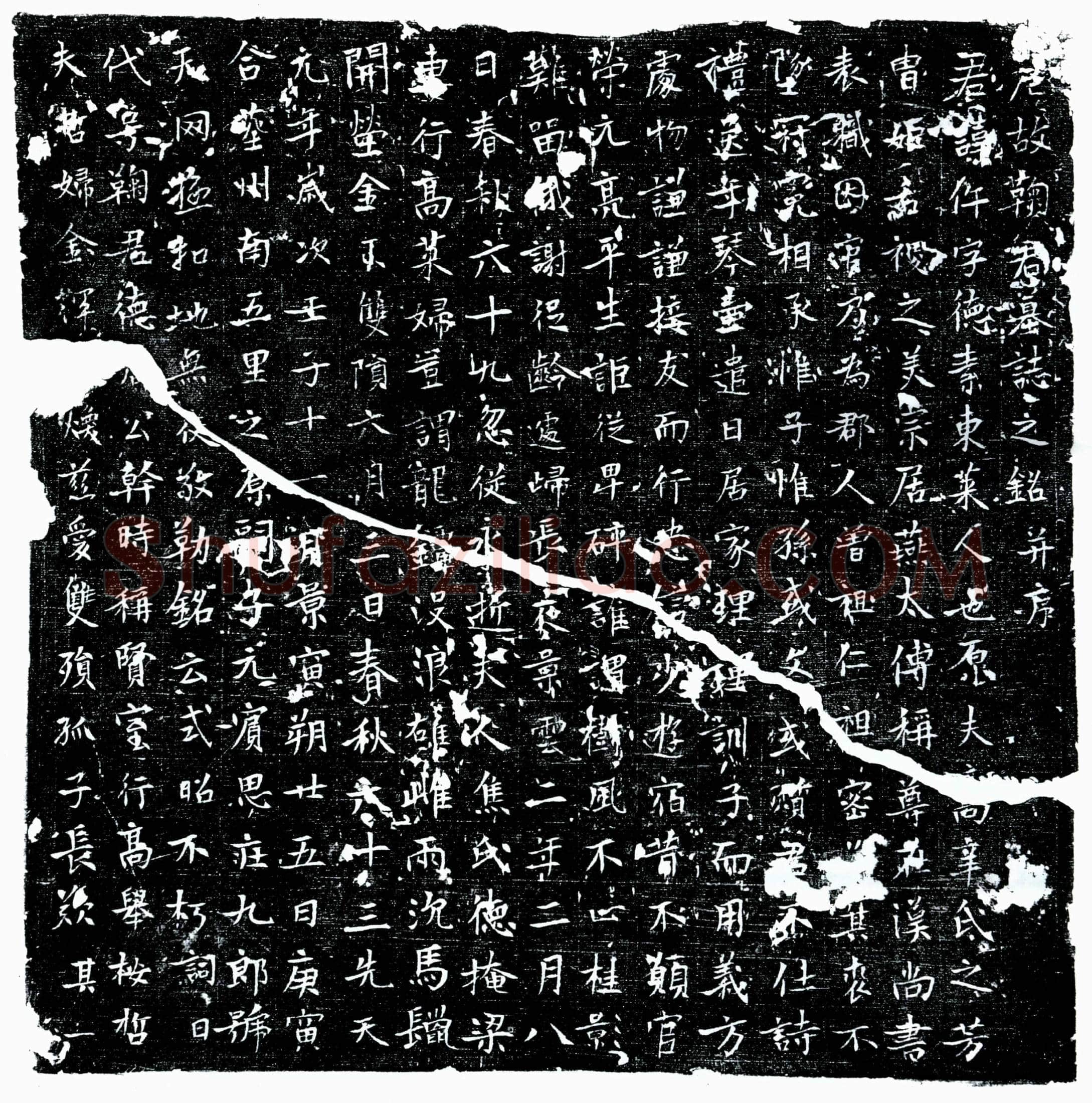 唐 鞠仵 墓誌
