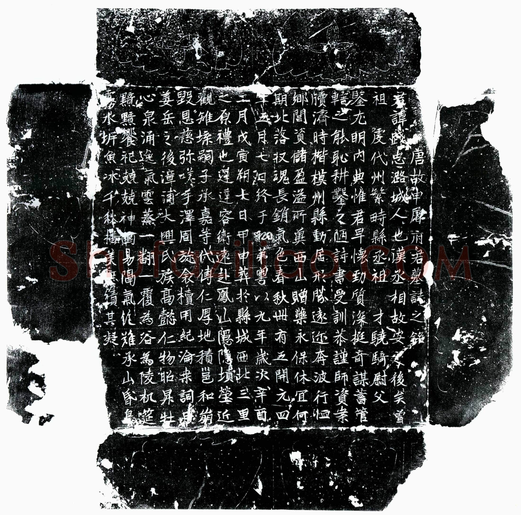 唐申屠践忠墓誌(唐故申屠府君墓誌之铭)