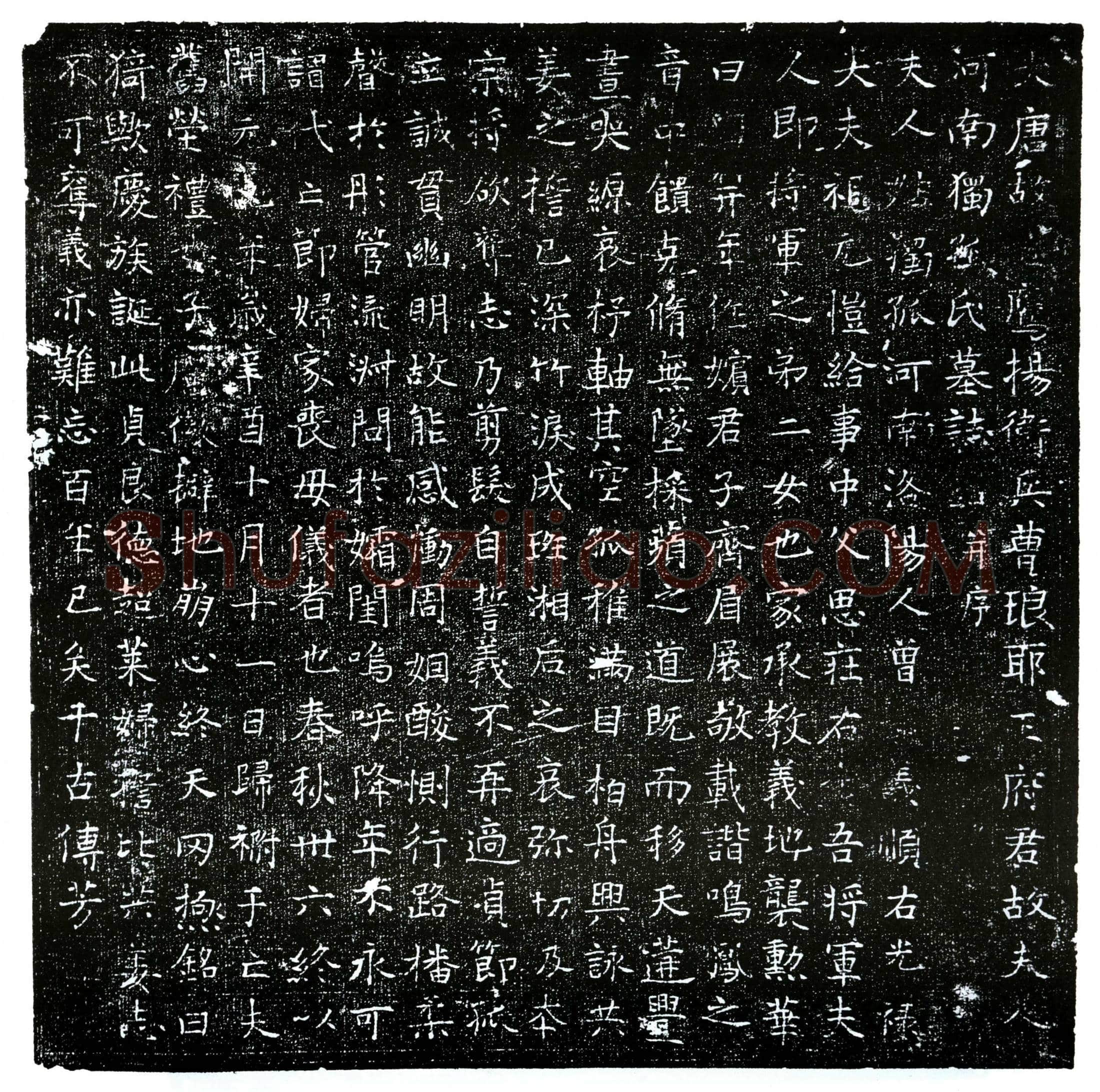 唐王君妻独孤氏墓誌(大唐故鹰扬卫兵曹琅耶王府君故夫人河南独孤氏墓誌铭并序)