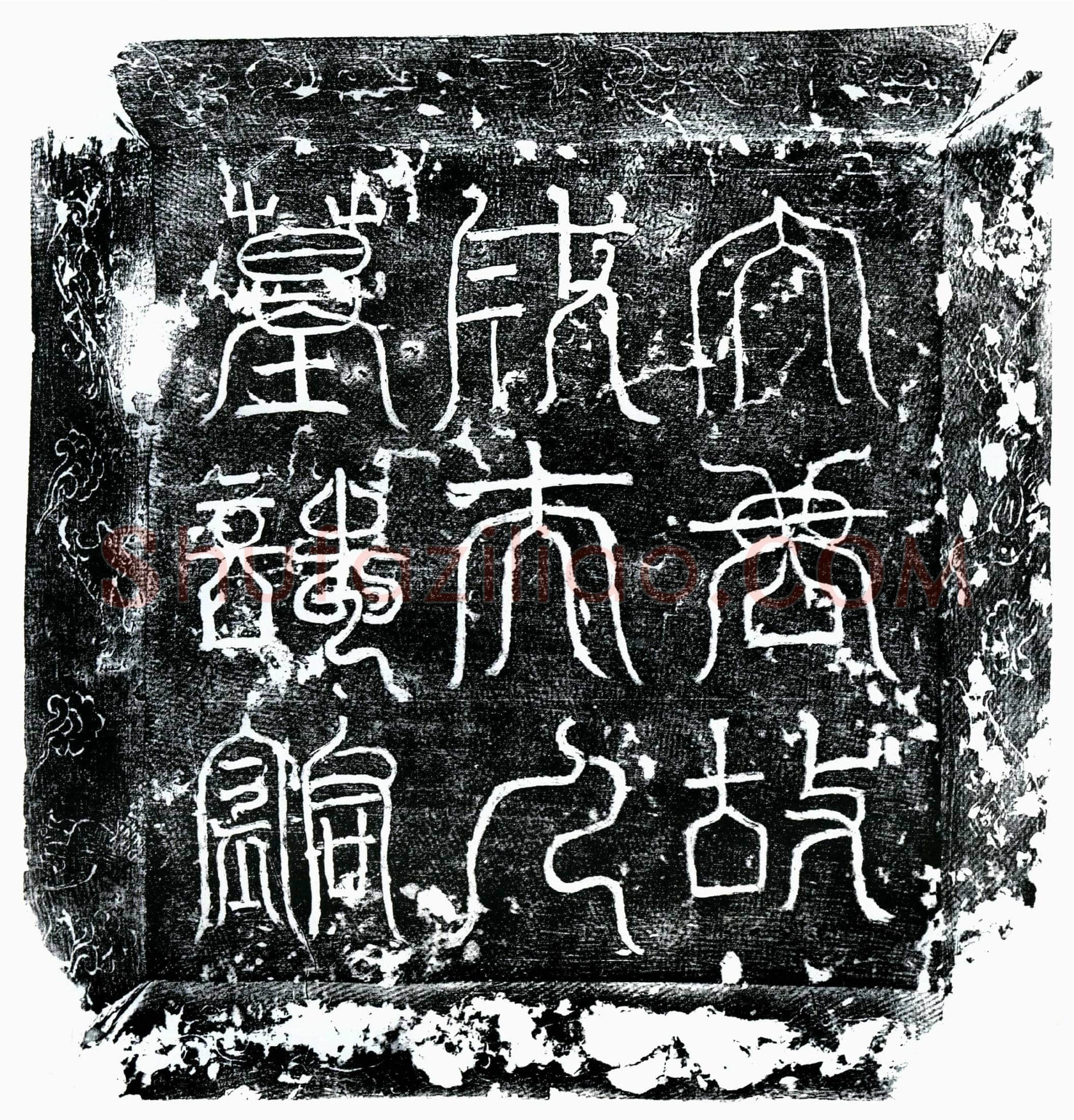 唐 赵君妻成果 墓誌