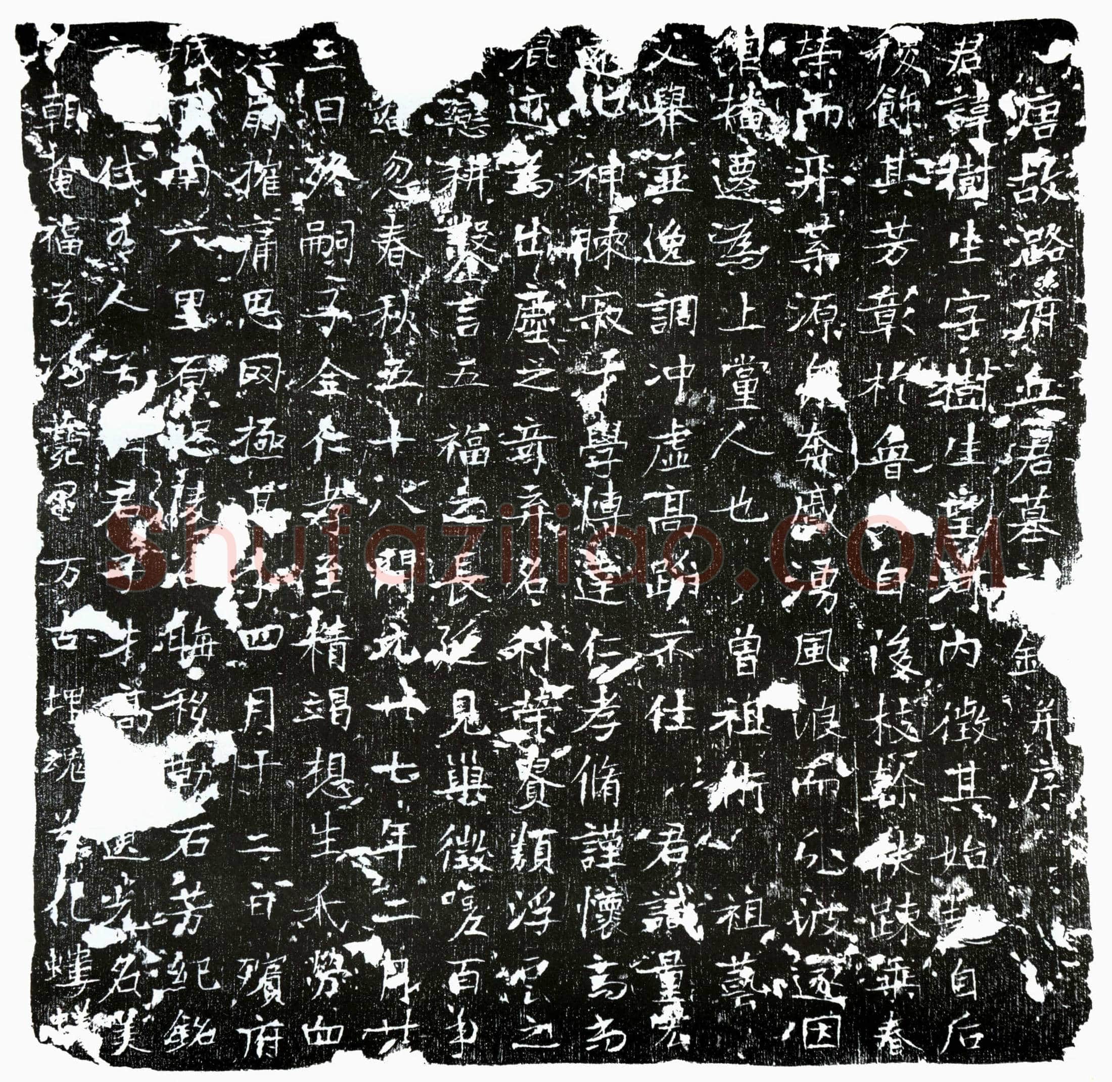 唐 丘树生 墓誌