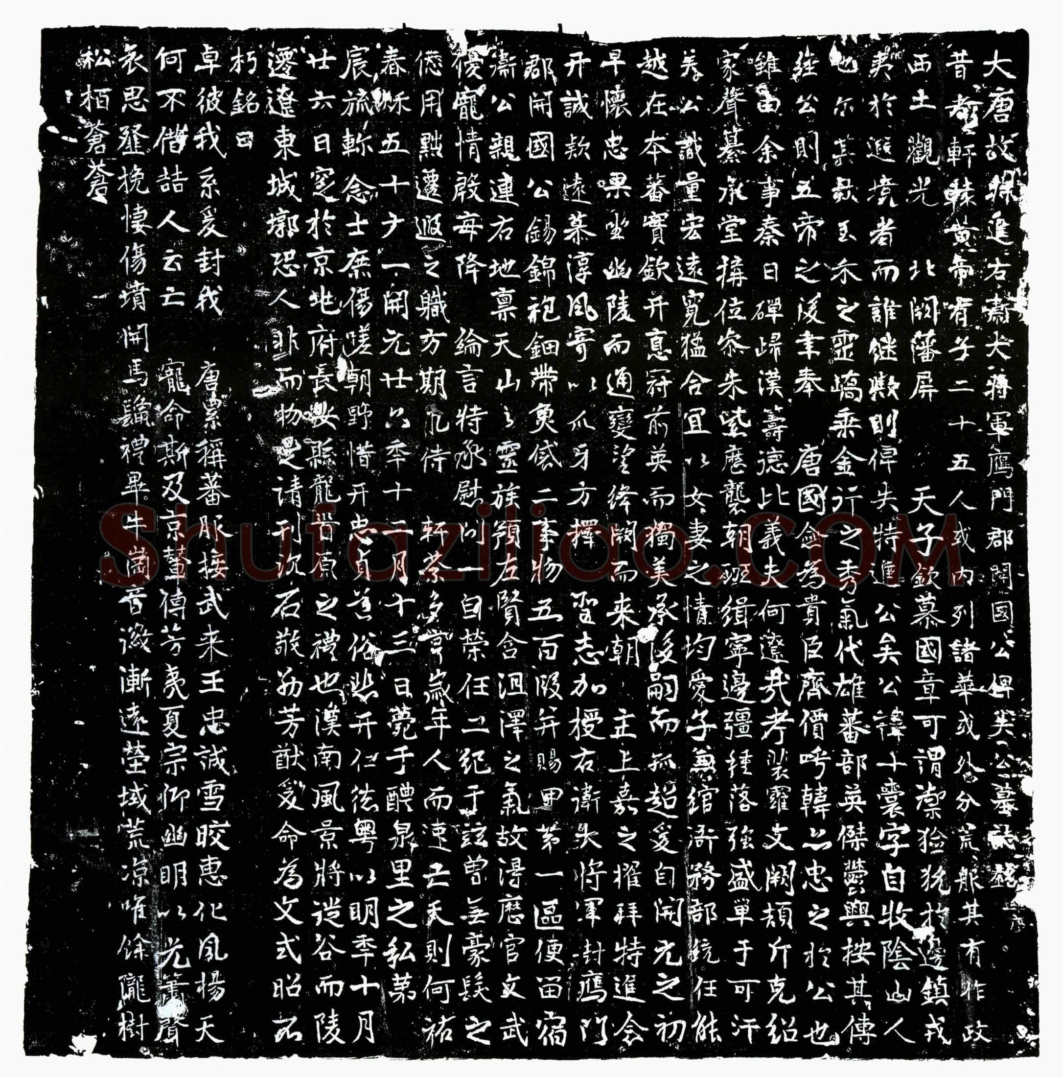 唐 俾失十囊 墓誌