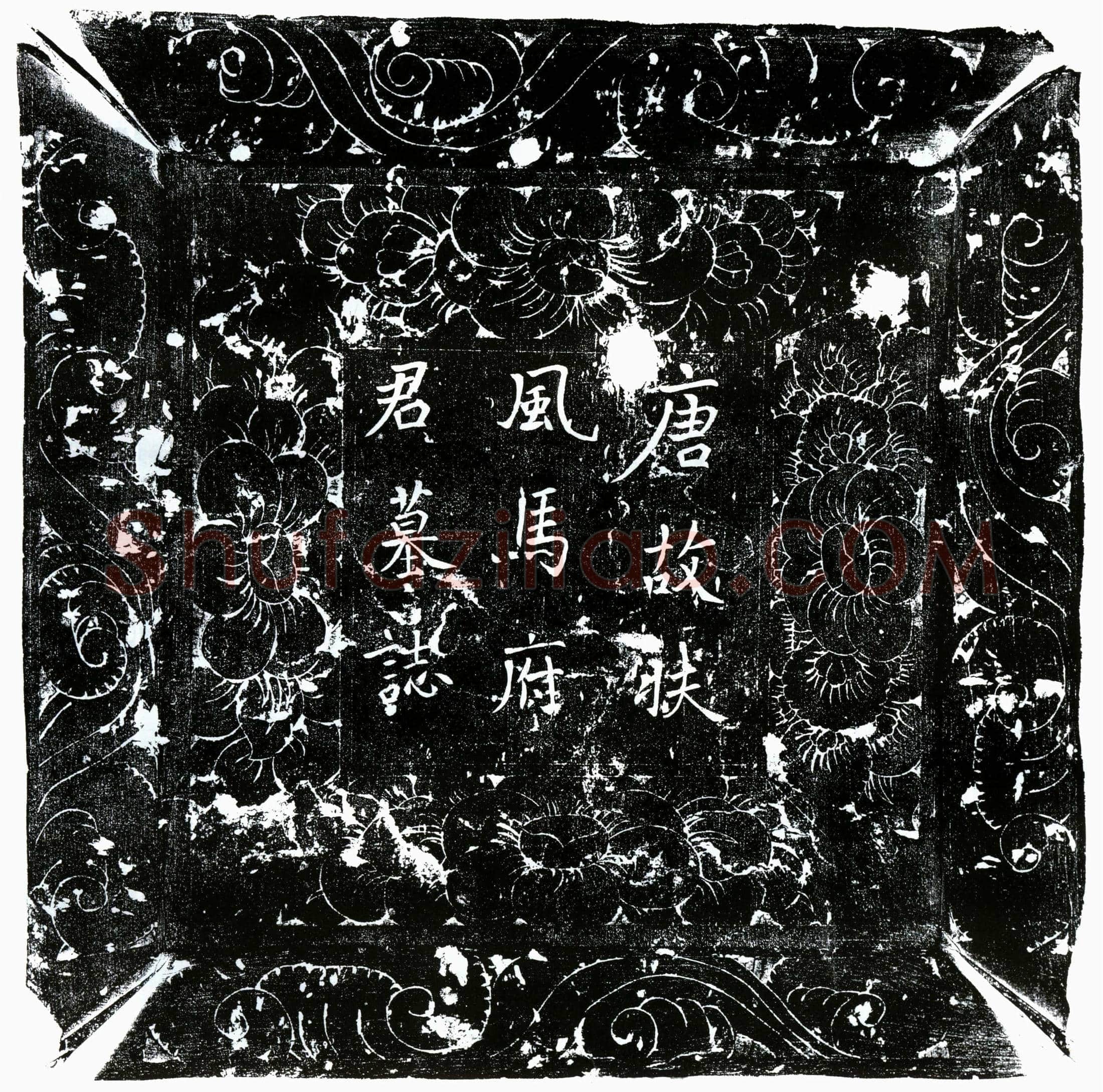 唐 马浩 墓誌