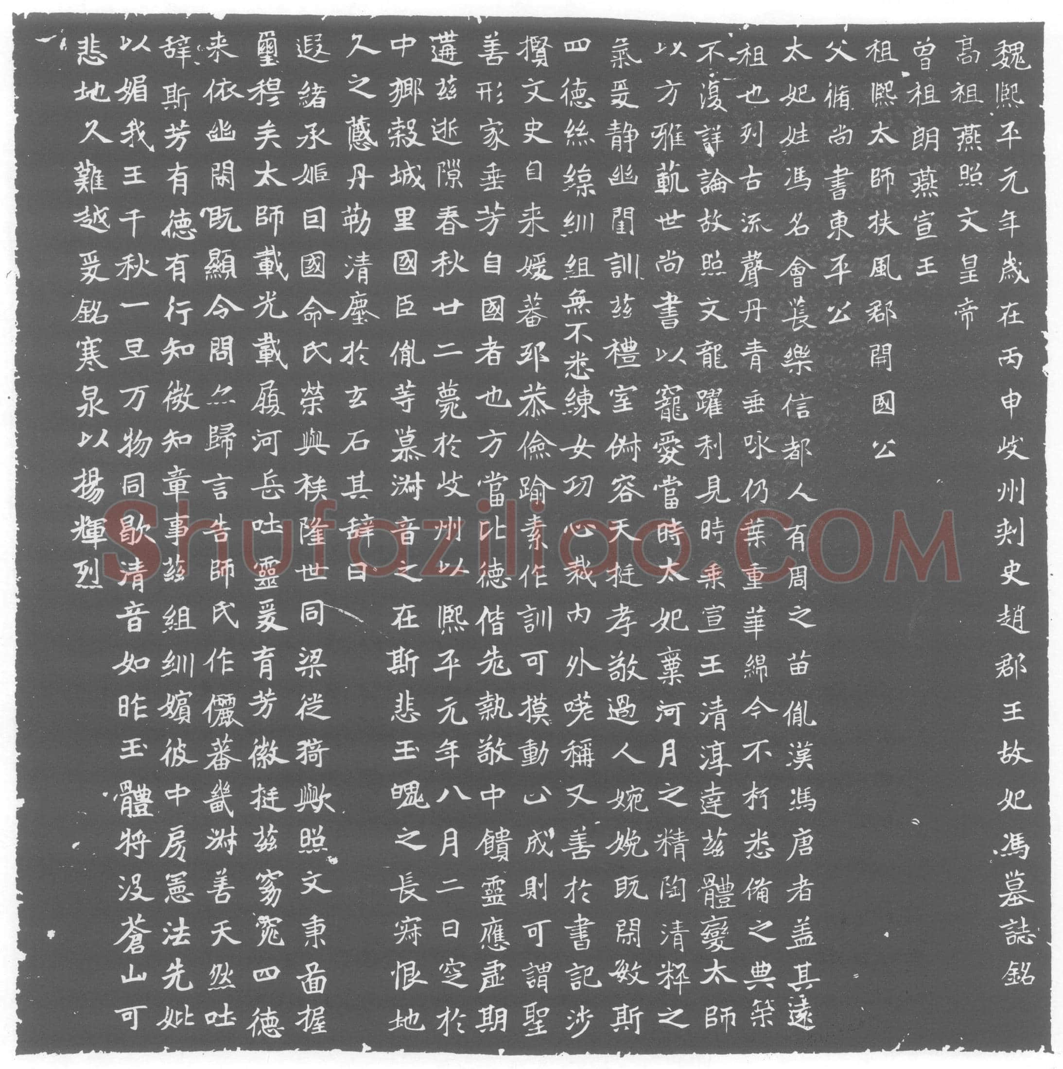 北朝冯会墓誌(魏熙平元年岁在丙申岐州刺史赵郡下故妃冯墓誌铭)