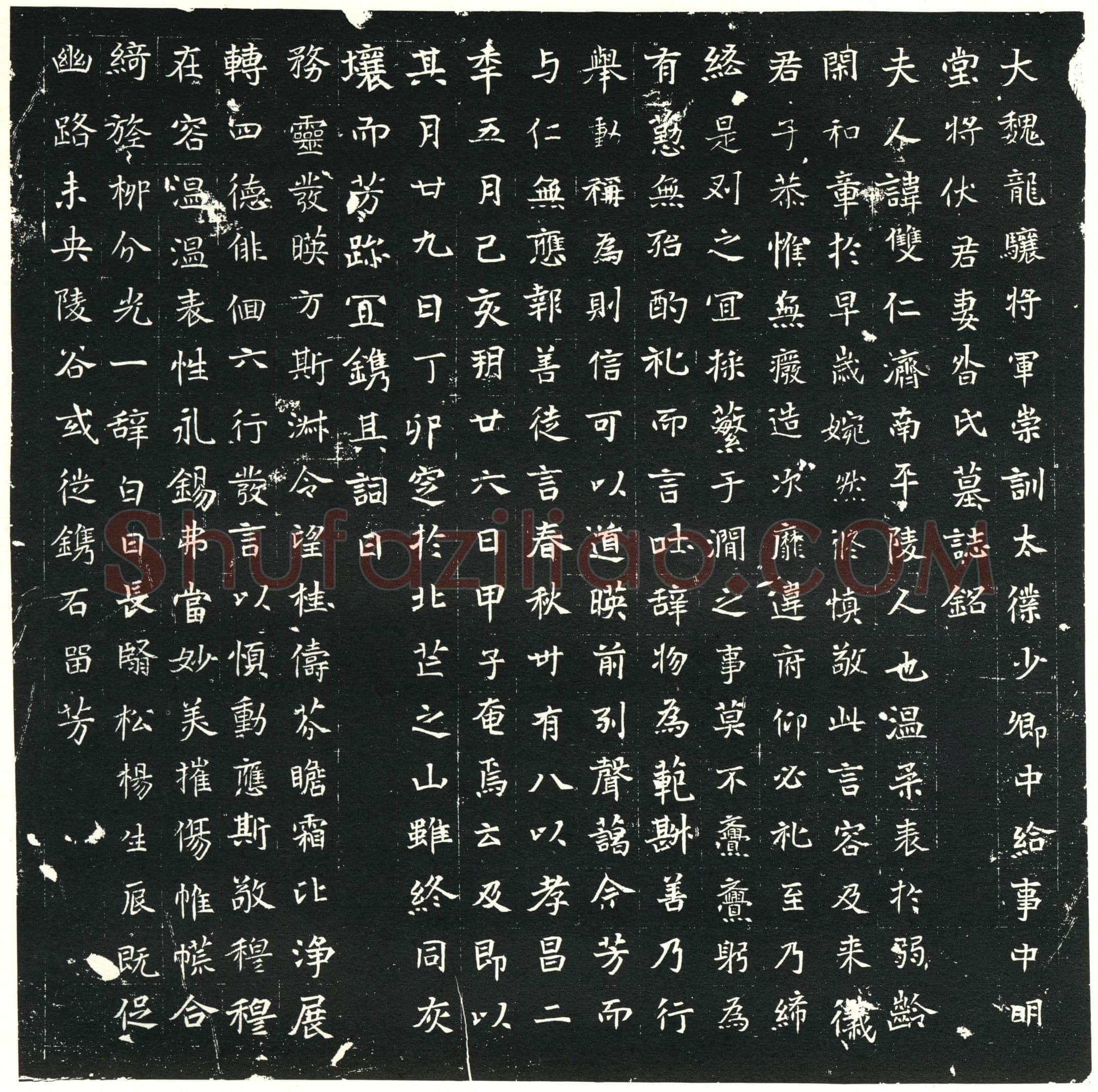 北朝昝双仁墓誌(大魏龙骧将军崇训太僕少卿中给事中明堂将伏君妻昝氏墓誌铭)