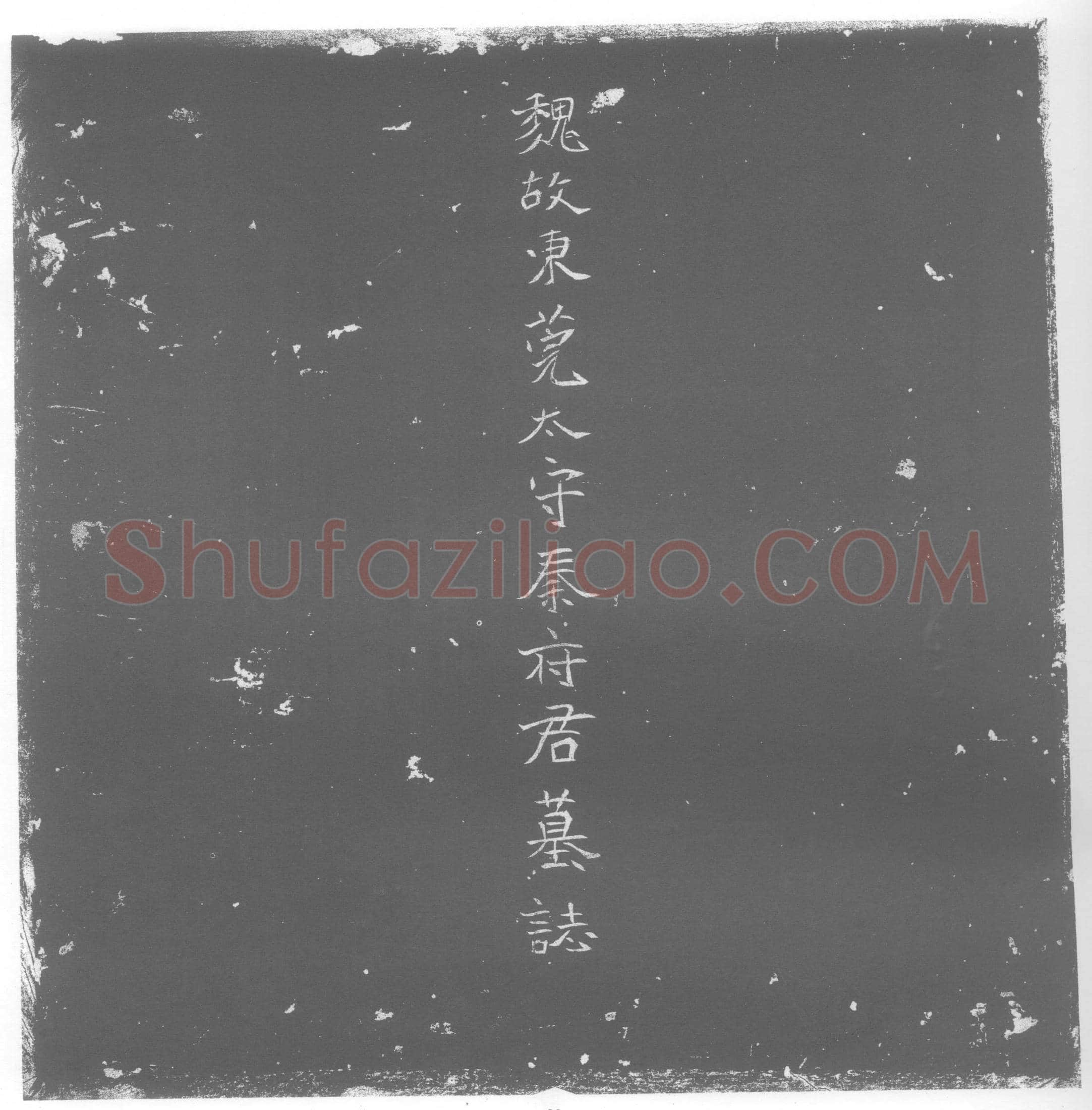 北朝 秦洪 墓誌