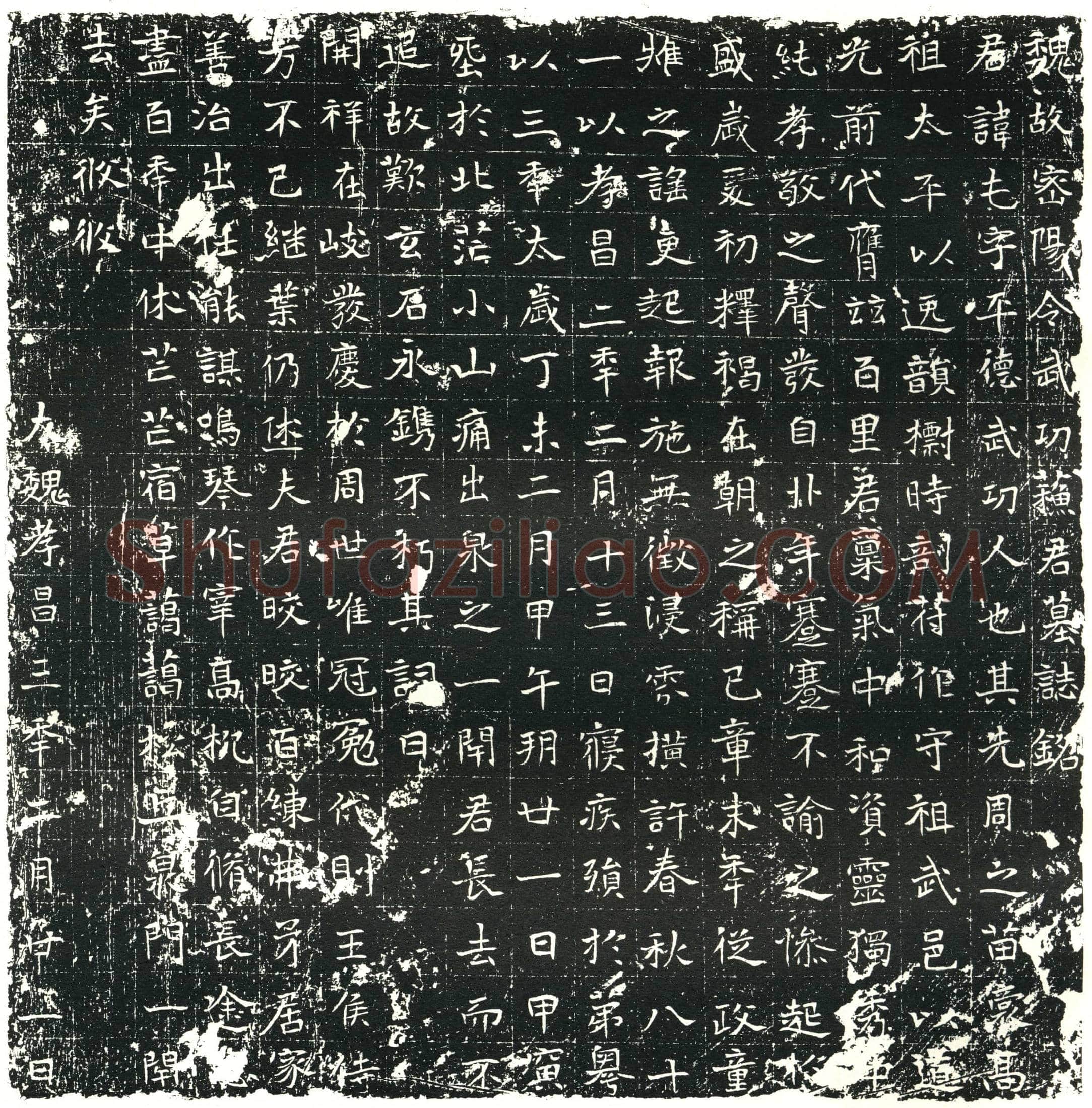 北朝 苏屯 墓誌
