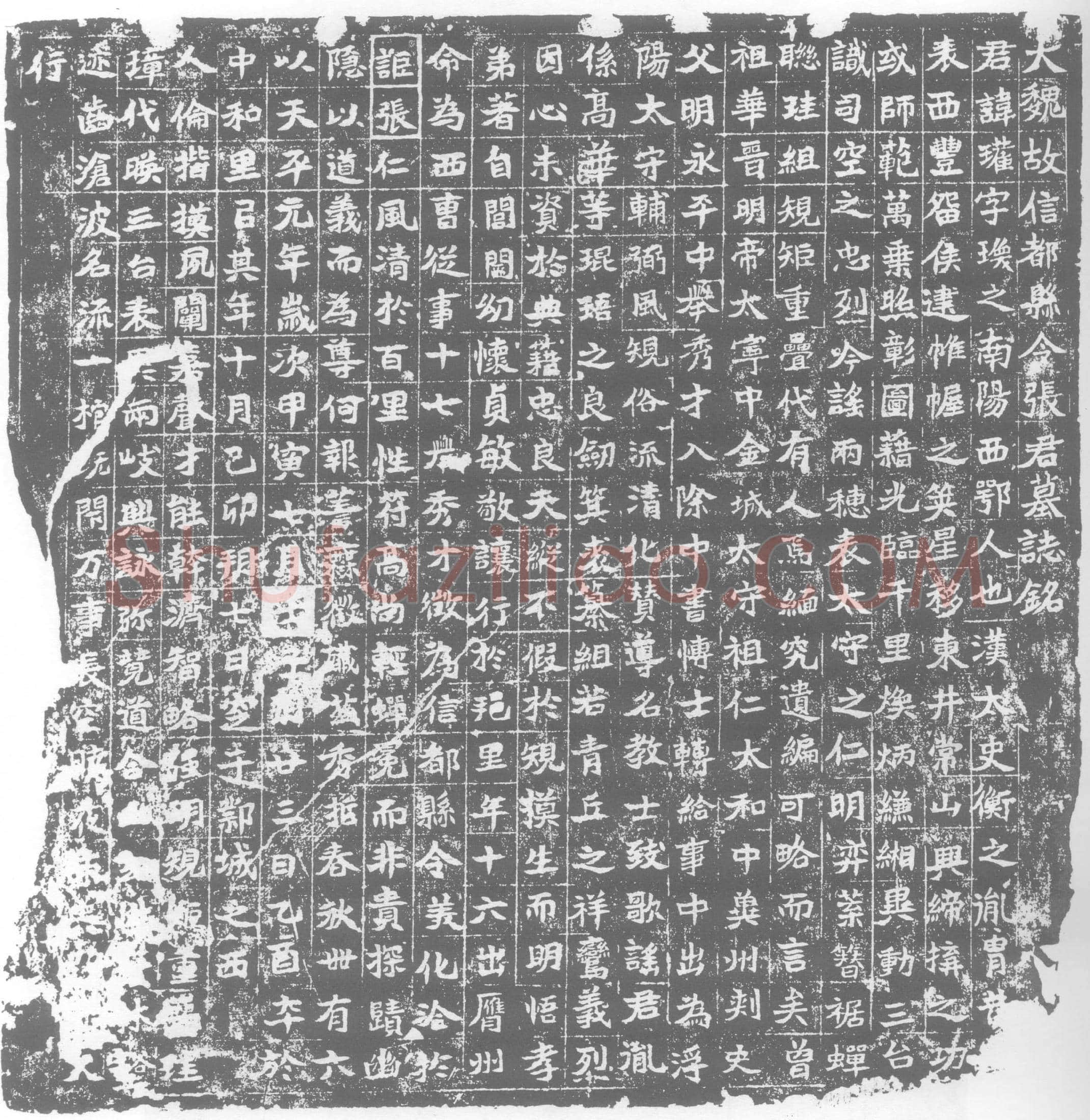 北朝张瓘墓誌(大魏故信都县令张君墓誌铭)