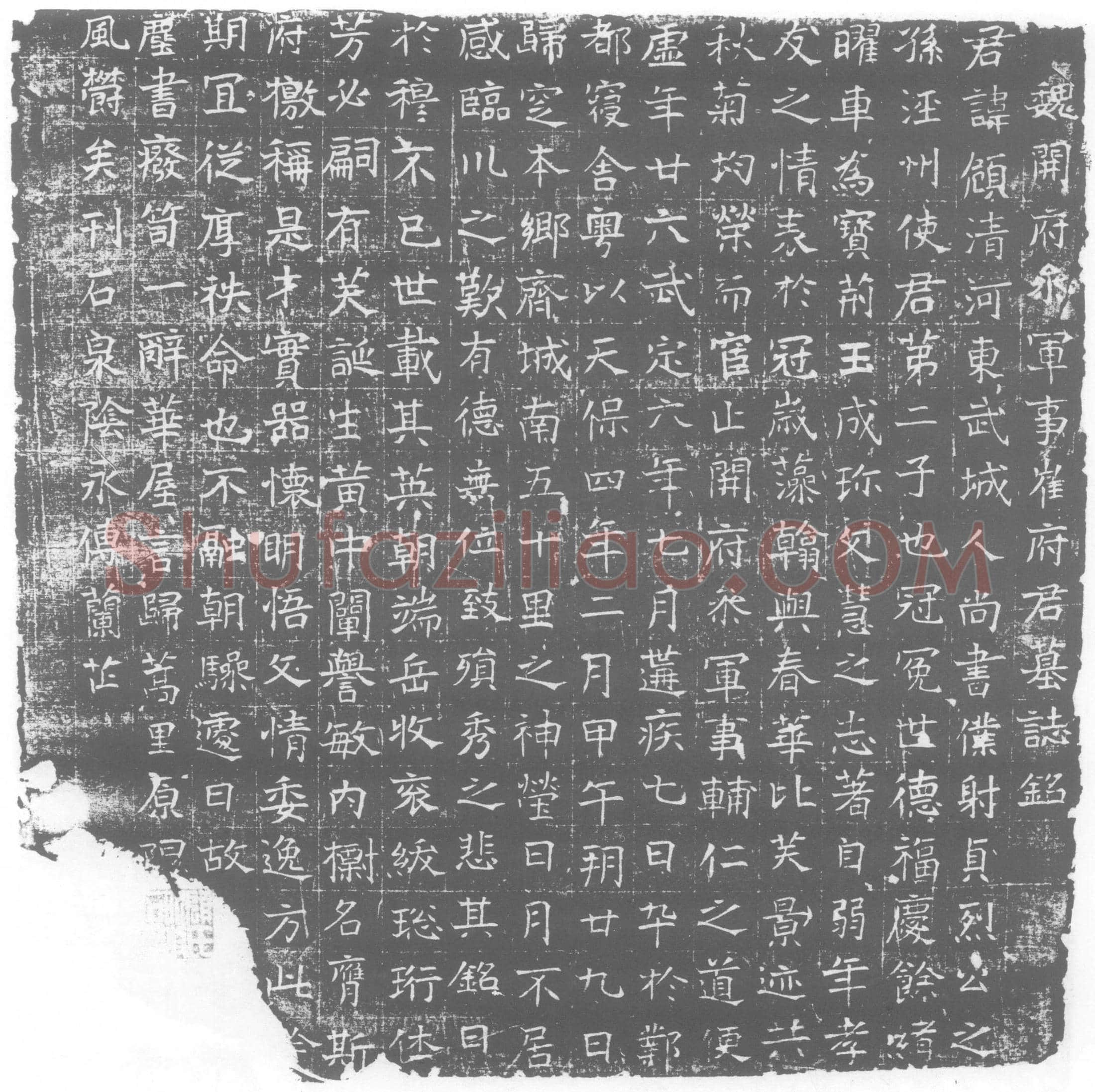 北朝崔頠墓誌(魏开府参军事崔府君墓誌铭)