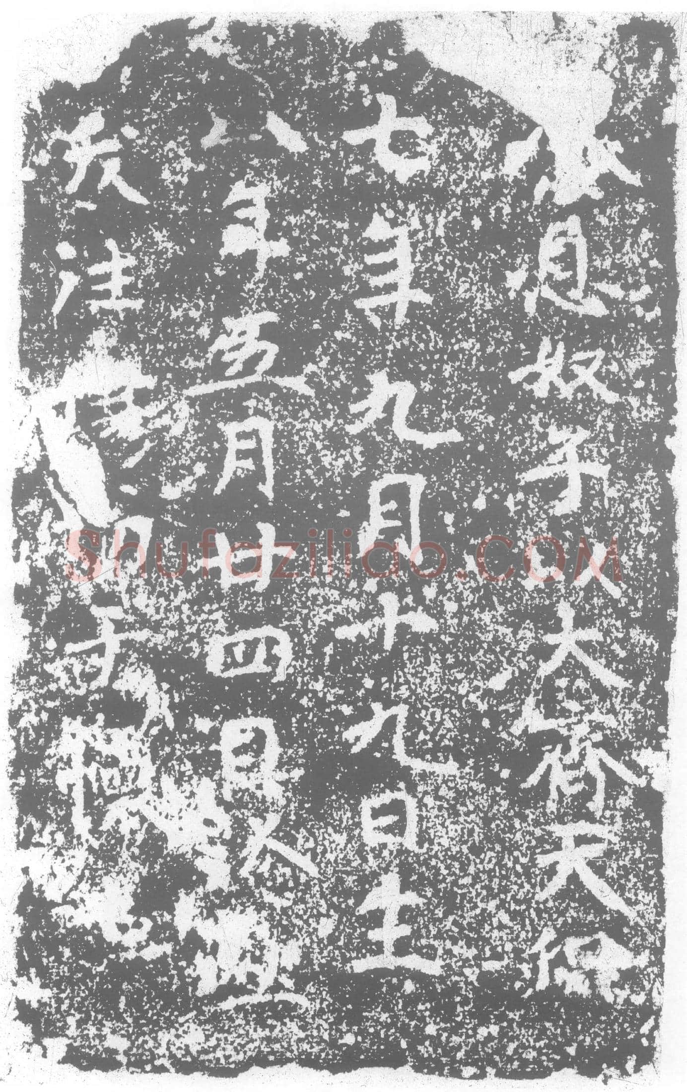 北朝 纂息奴子 墓誌