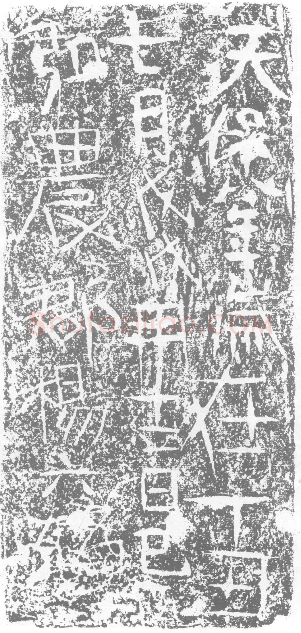 北朝杨六墓誌