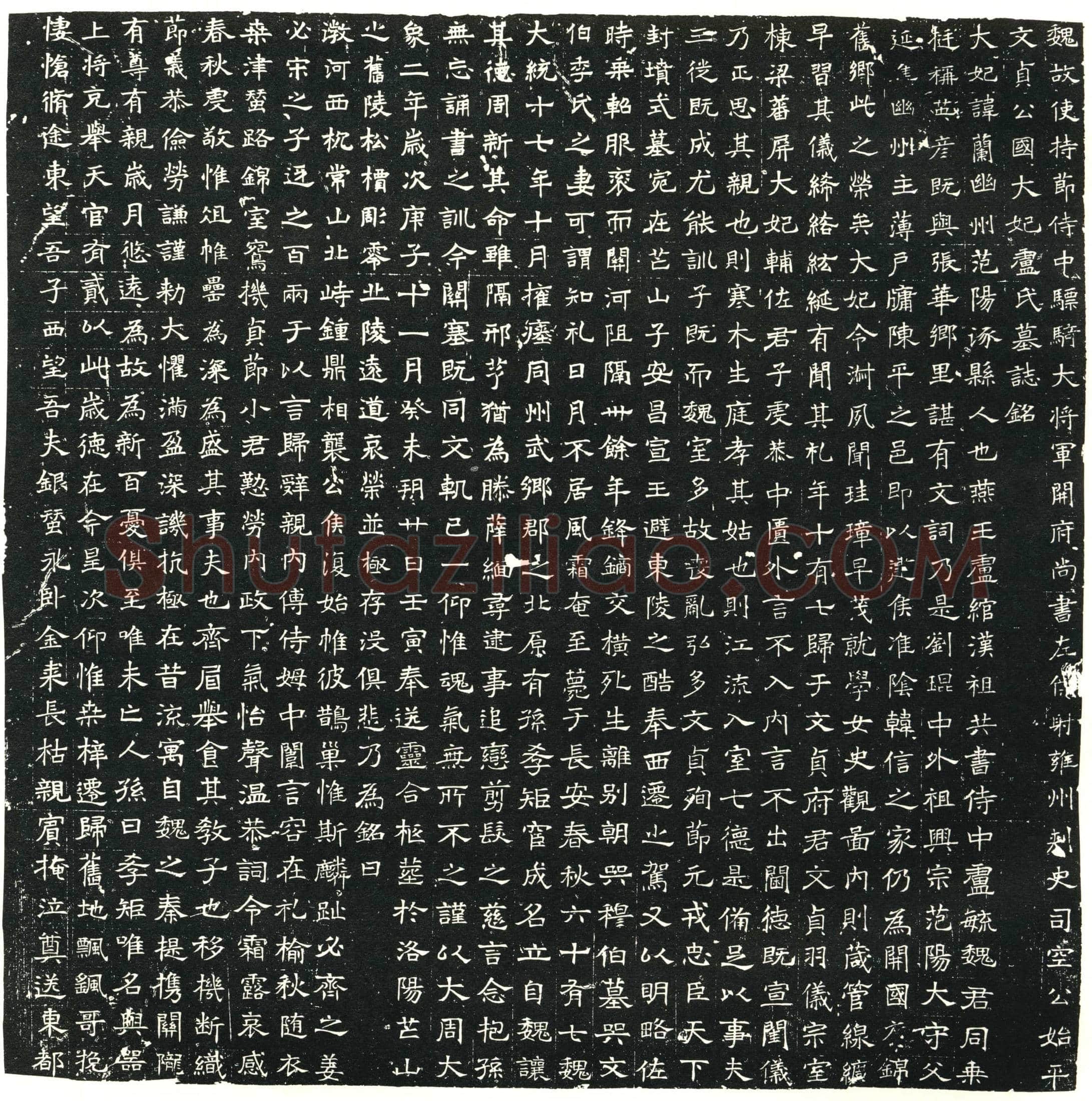 北朝卢兰墓誌(魏故使持节侍中骠骑大将军开府尚书左僕射雍州刺史司空公始平文贞公国太妃卢氏墓誌铭)