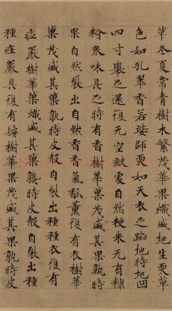 公元648年唐代 唐人 《唐人转轮圣王经》之十六 书法作品