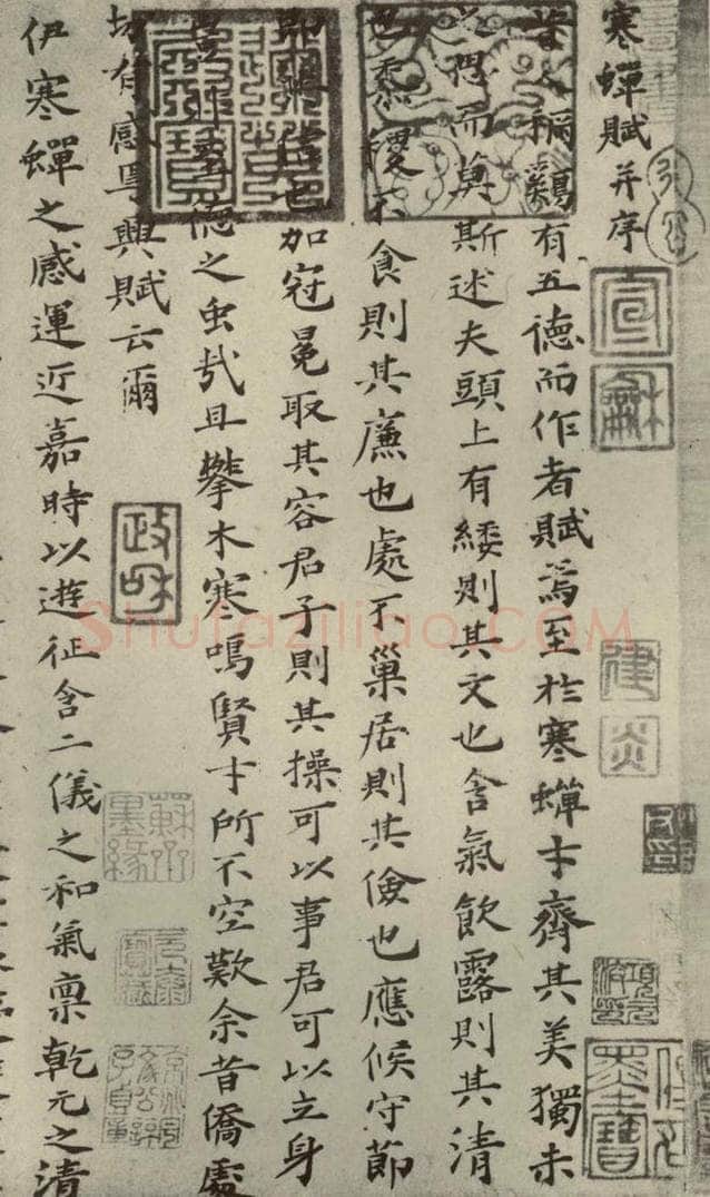 宋朝 蔡襄 四书家蔡襄楷书晋陆云寒蝉赋之一 书法作品