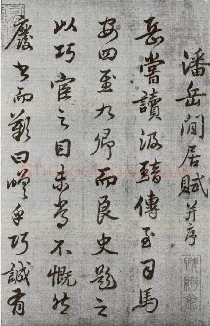 公元1538年明代 廖道南 《临赵孟俯书潘岳闲居赋并序》之一 书法作品