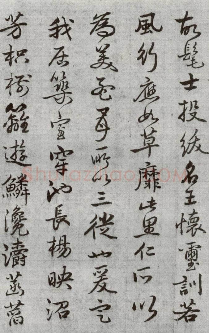 公元1538年明代 廖道南 《临赵孟俯书潘岳闲居赋并序》之十四 书法作品