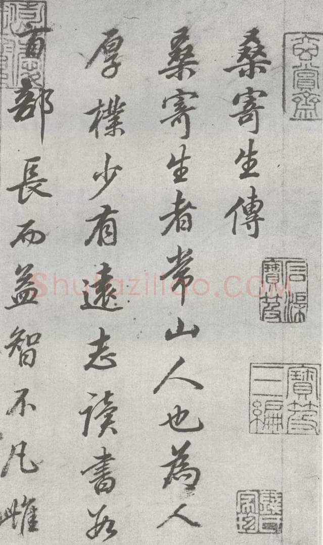 明 董其昌 元明书翰（24）桑寄生传 （1） 书法作品