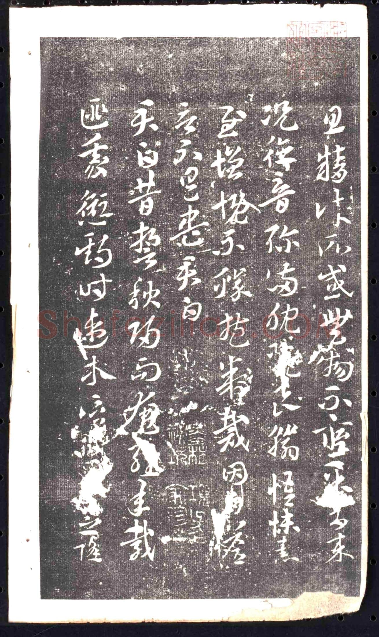 隋 茹洪 墓誌