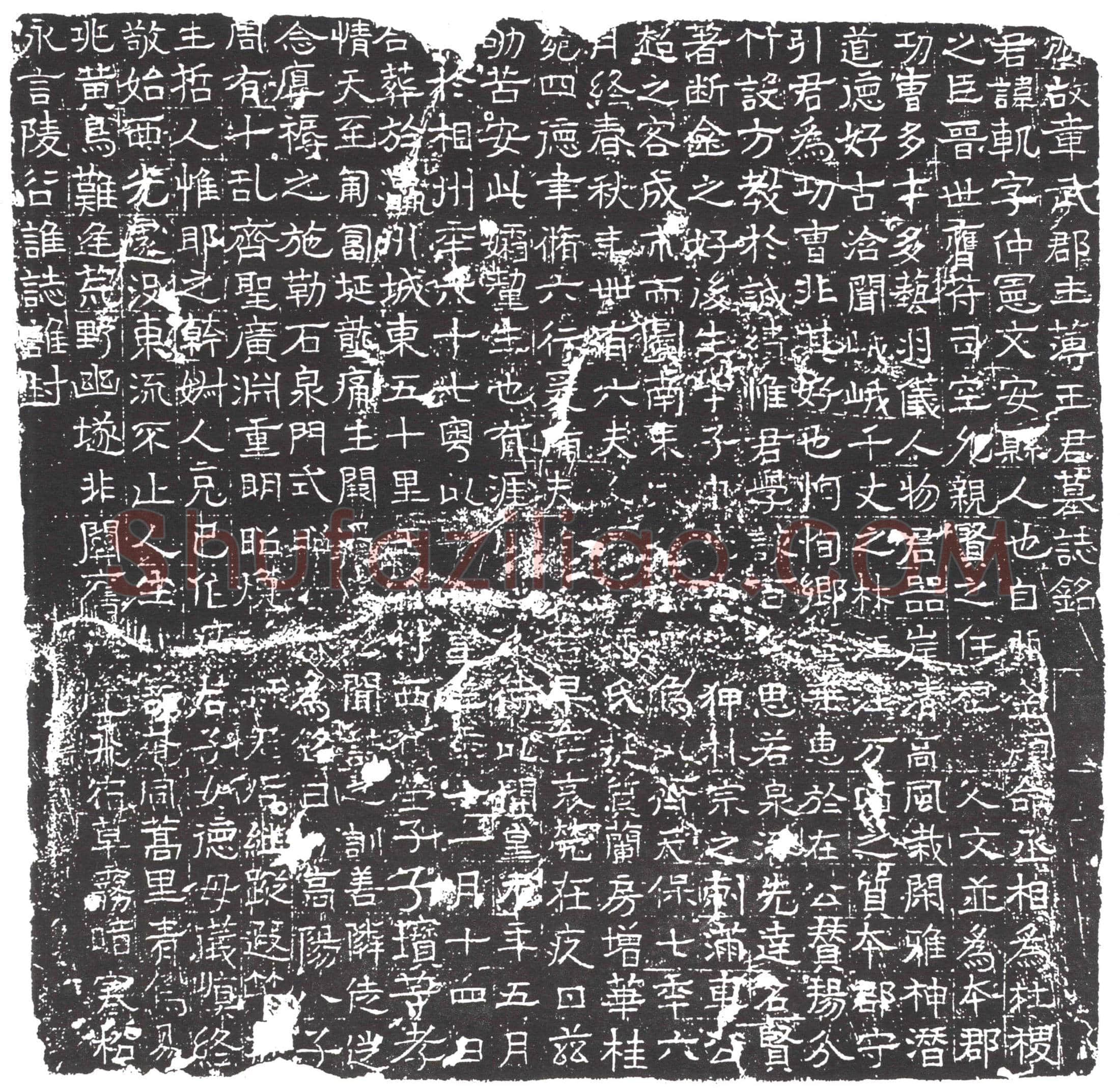 隋王轨；王轨妻冯氏墓誌(齐故章武郡主簿王君墓誌铭)