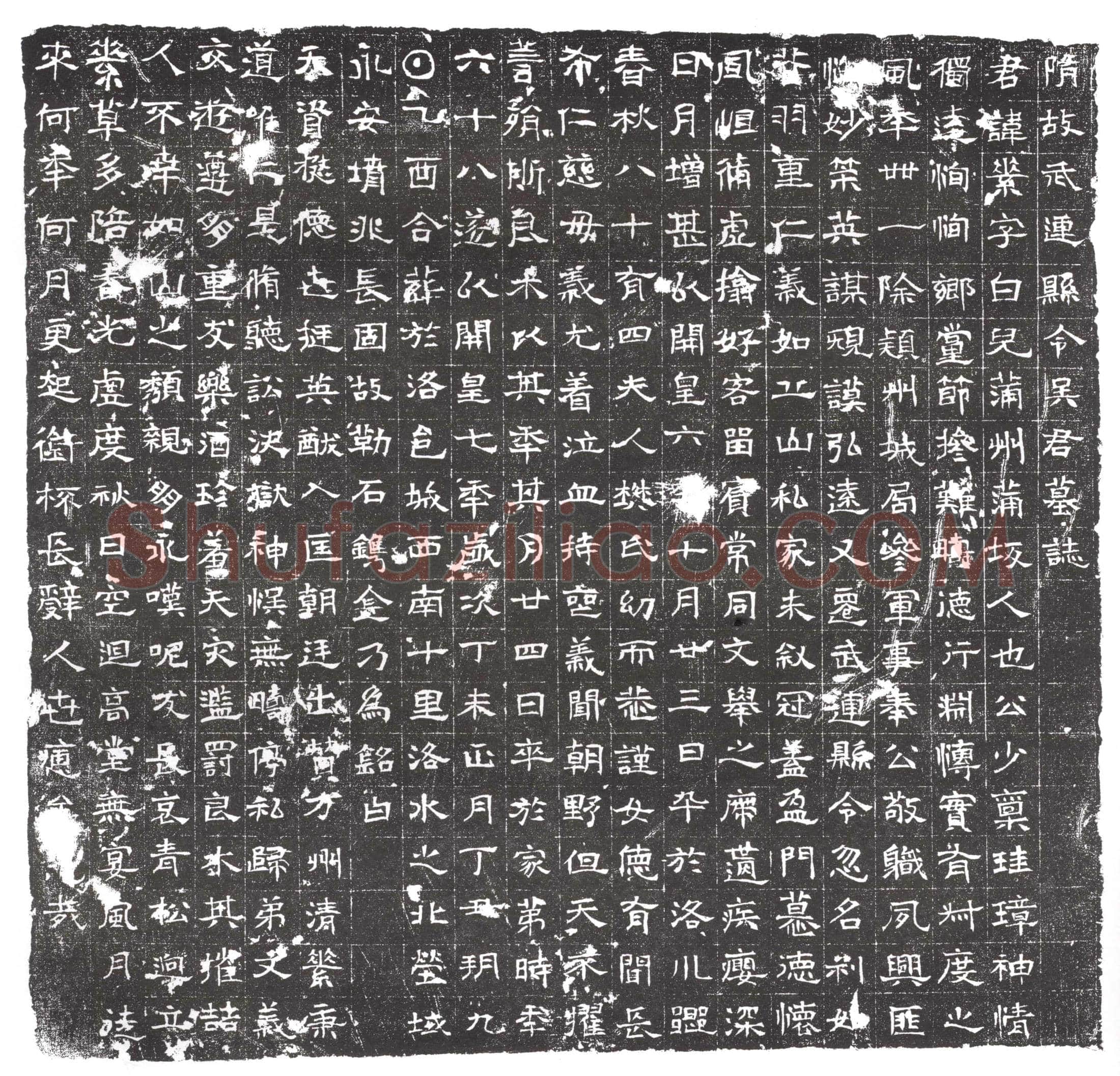 隋 崔长晖 墓誌