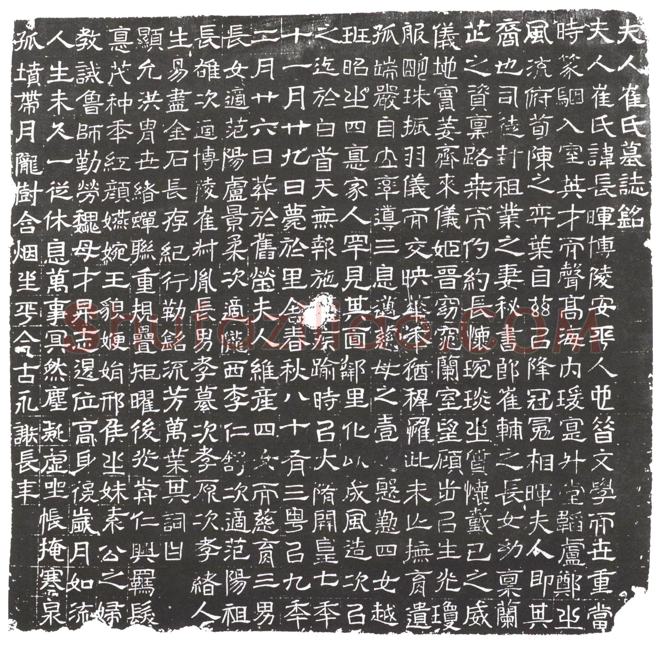 隋崔长晖墓誌(夫人崔氏墓誌铭)