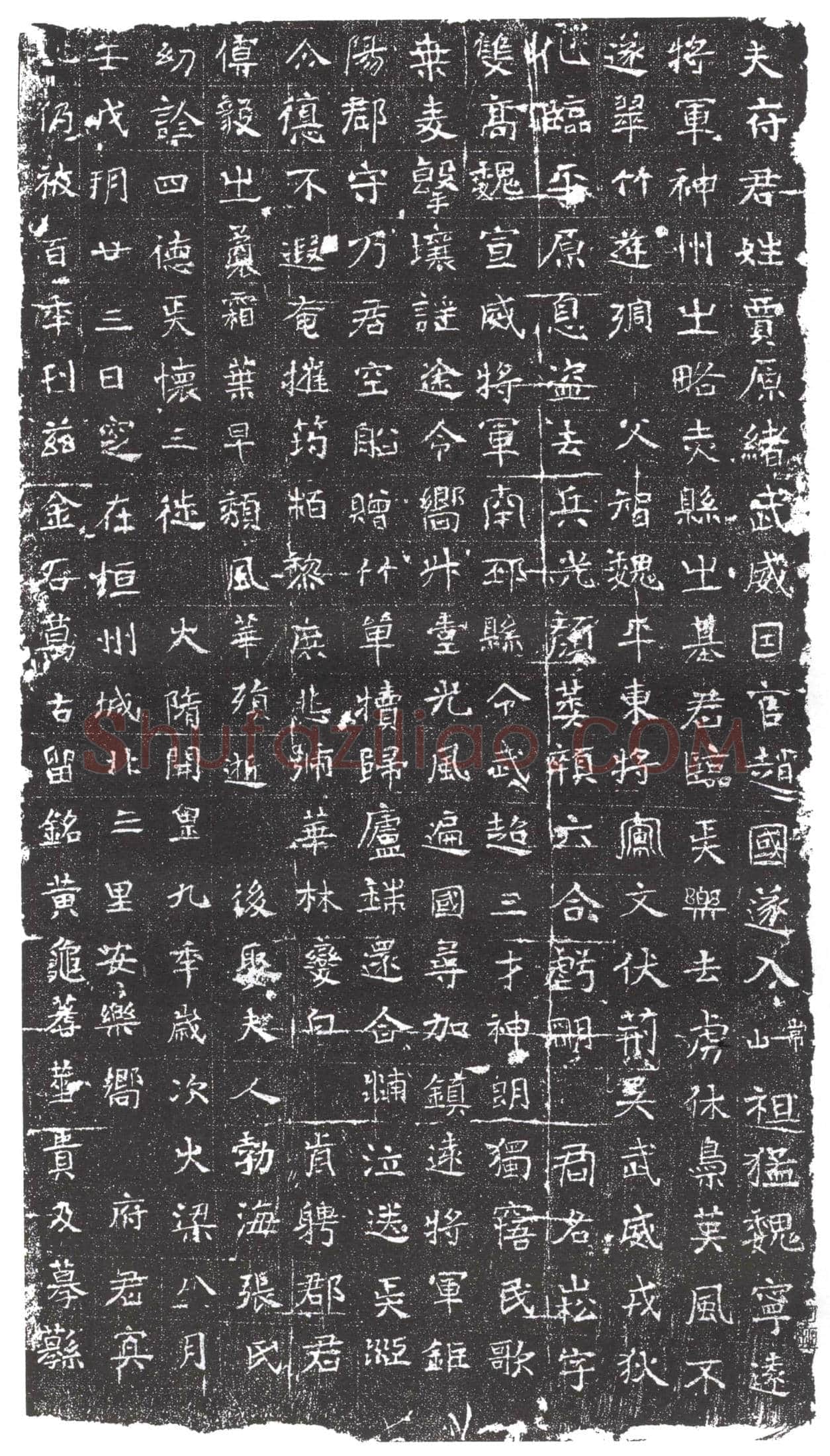 隋 张僧殷 张潘庆 墓誌