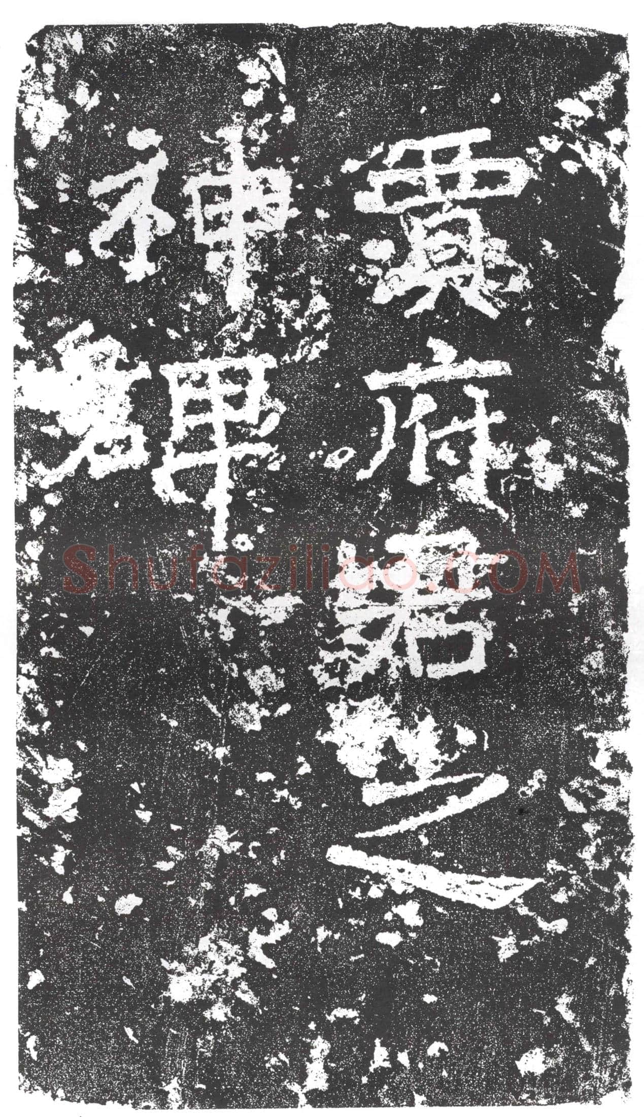 隋 尒朱君 墓誌